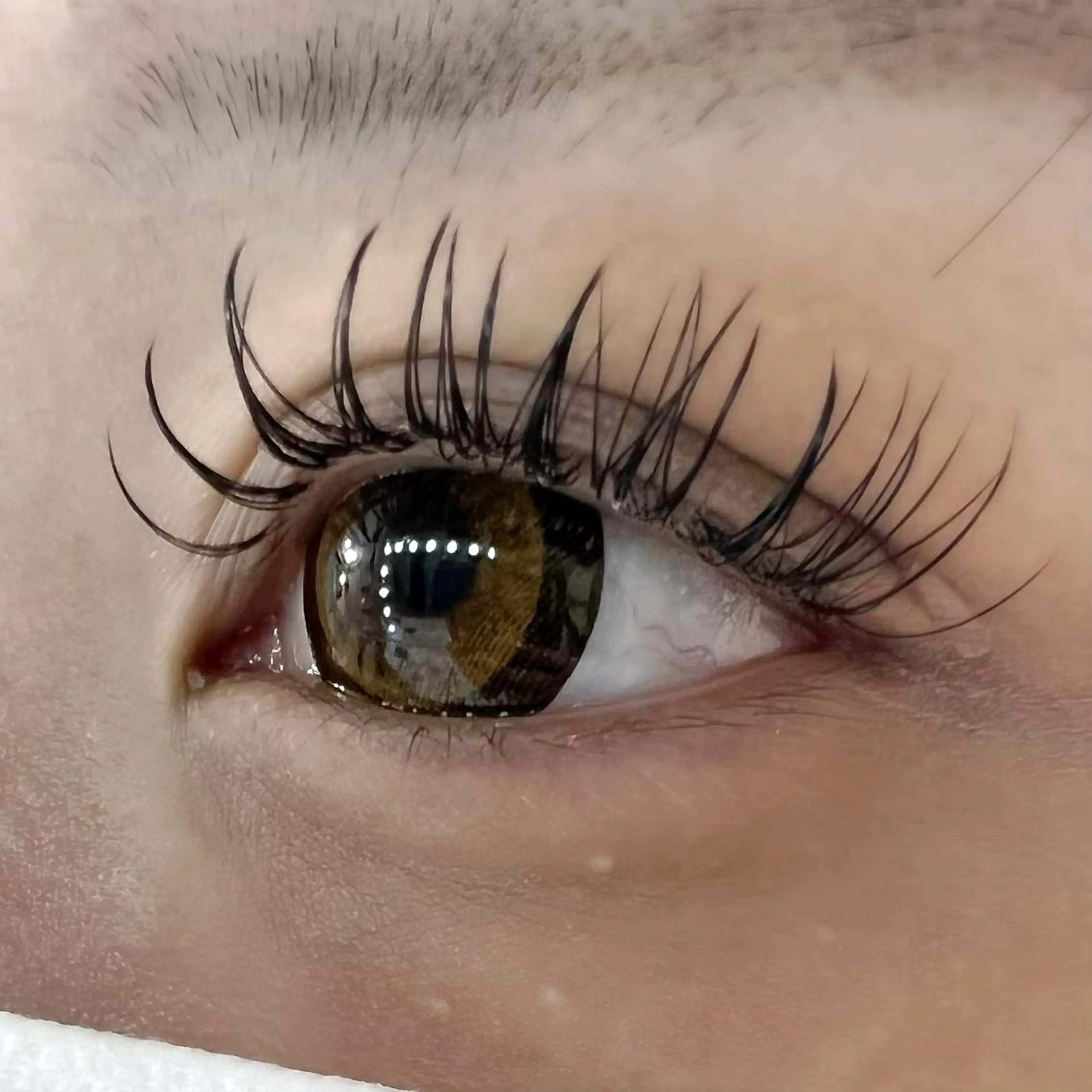 マツエク・マツパ マツエク 🧸Celeste Venusのマツエク・マツパデザイン