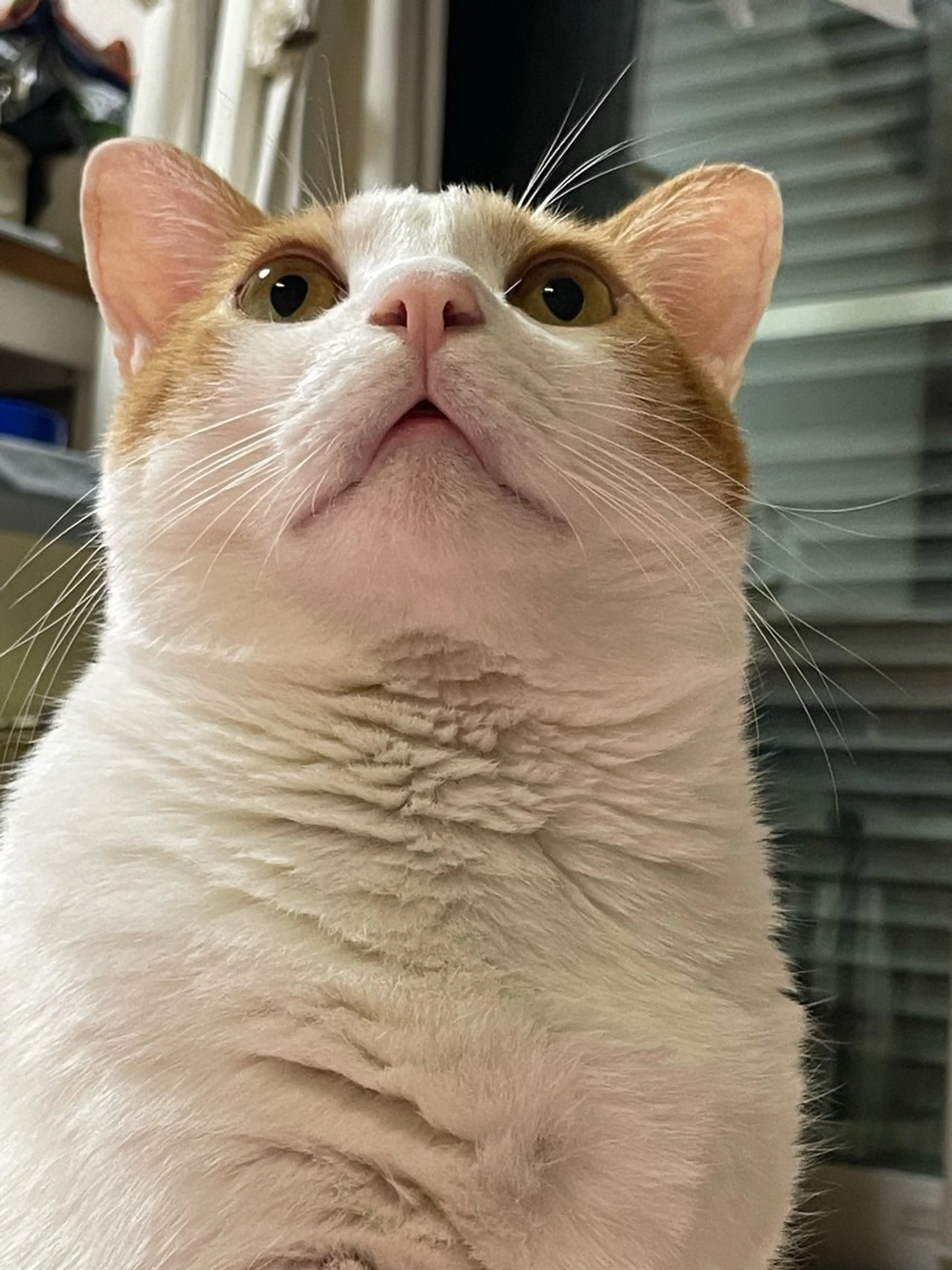 ネイル misun_ nailのネイルデザイン