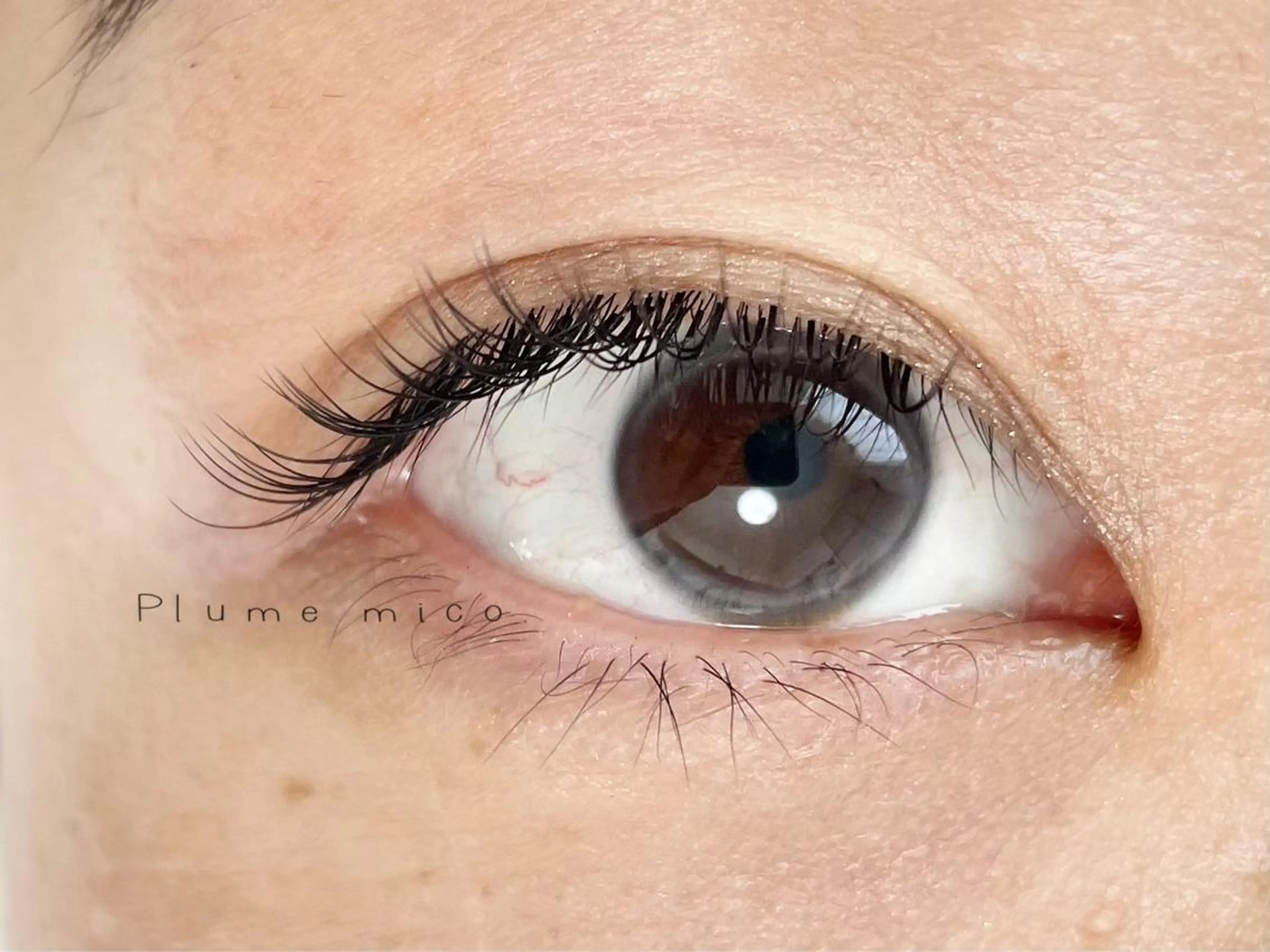 マツエク・マツパ マツエク Plume micoのマツエク・マツパデザイン