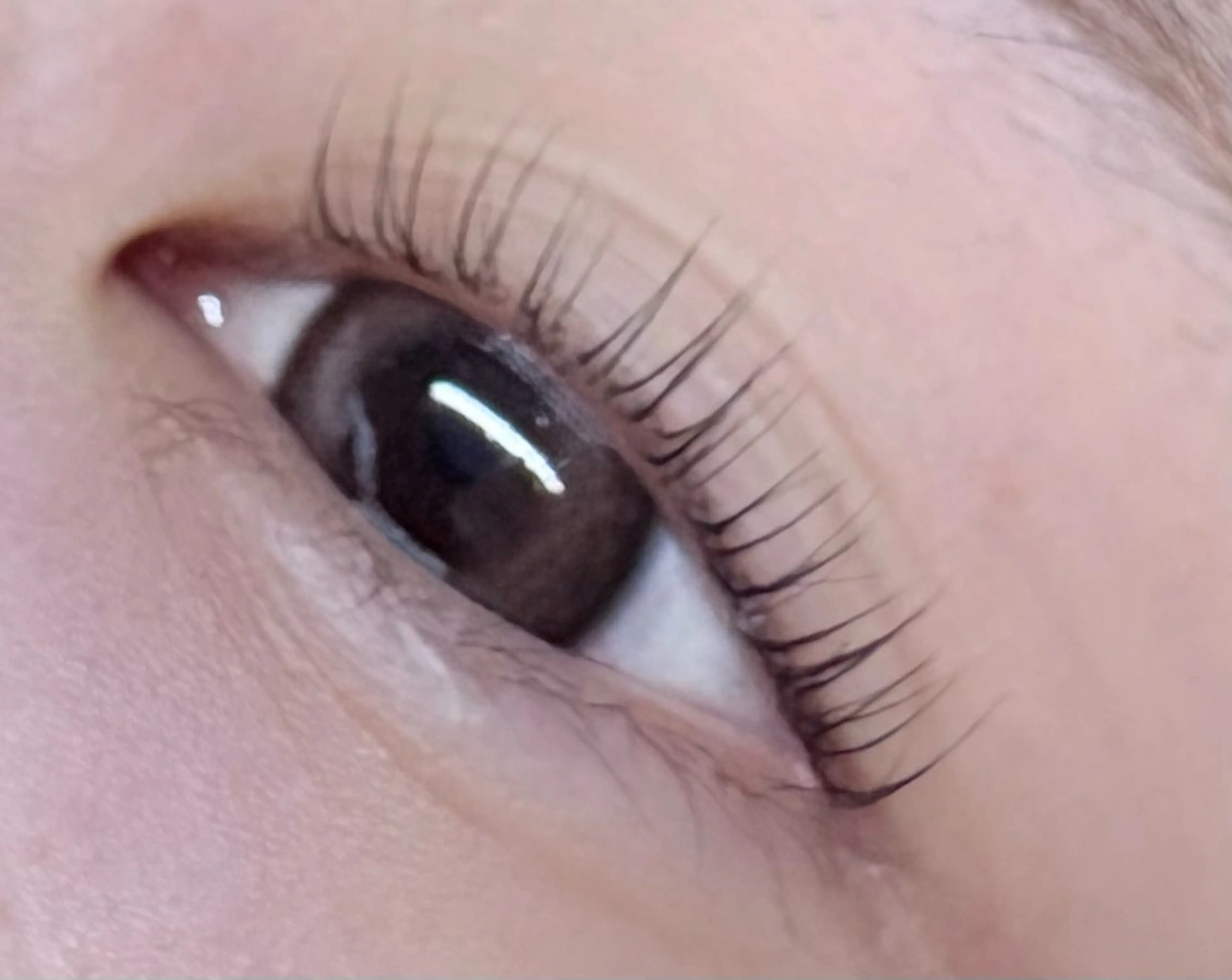 マツエク・マツパ トータルビューティー サロン・Nの眉毛・アイブロウイメージ