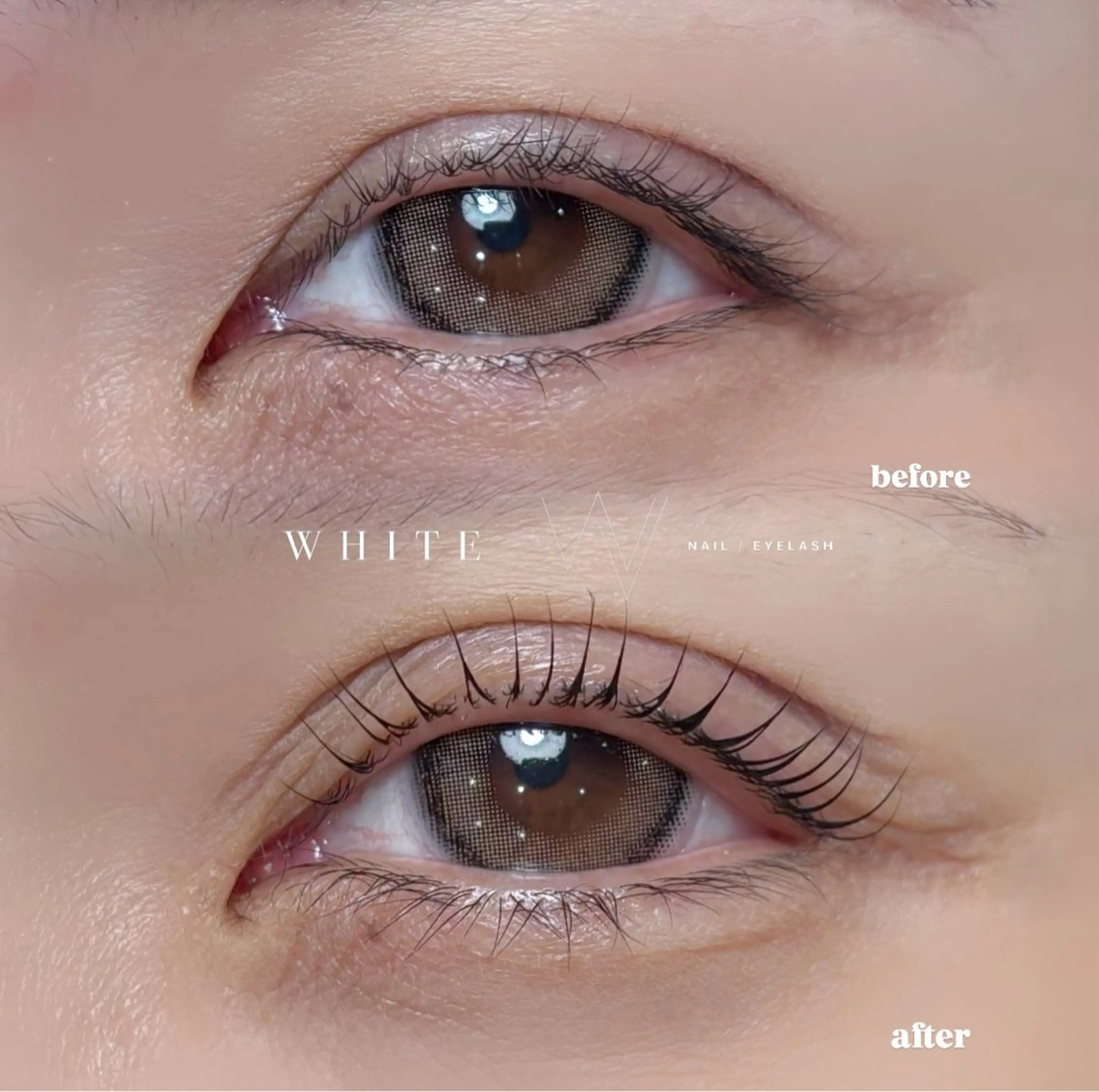 🩵韓国マスカラパーマ🩵束間コーティング仕上げの写真