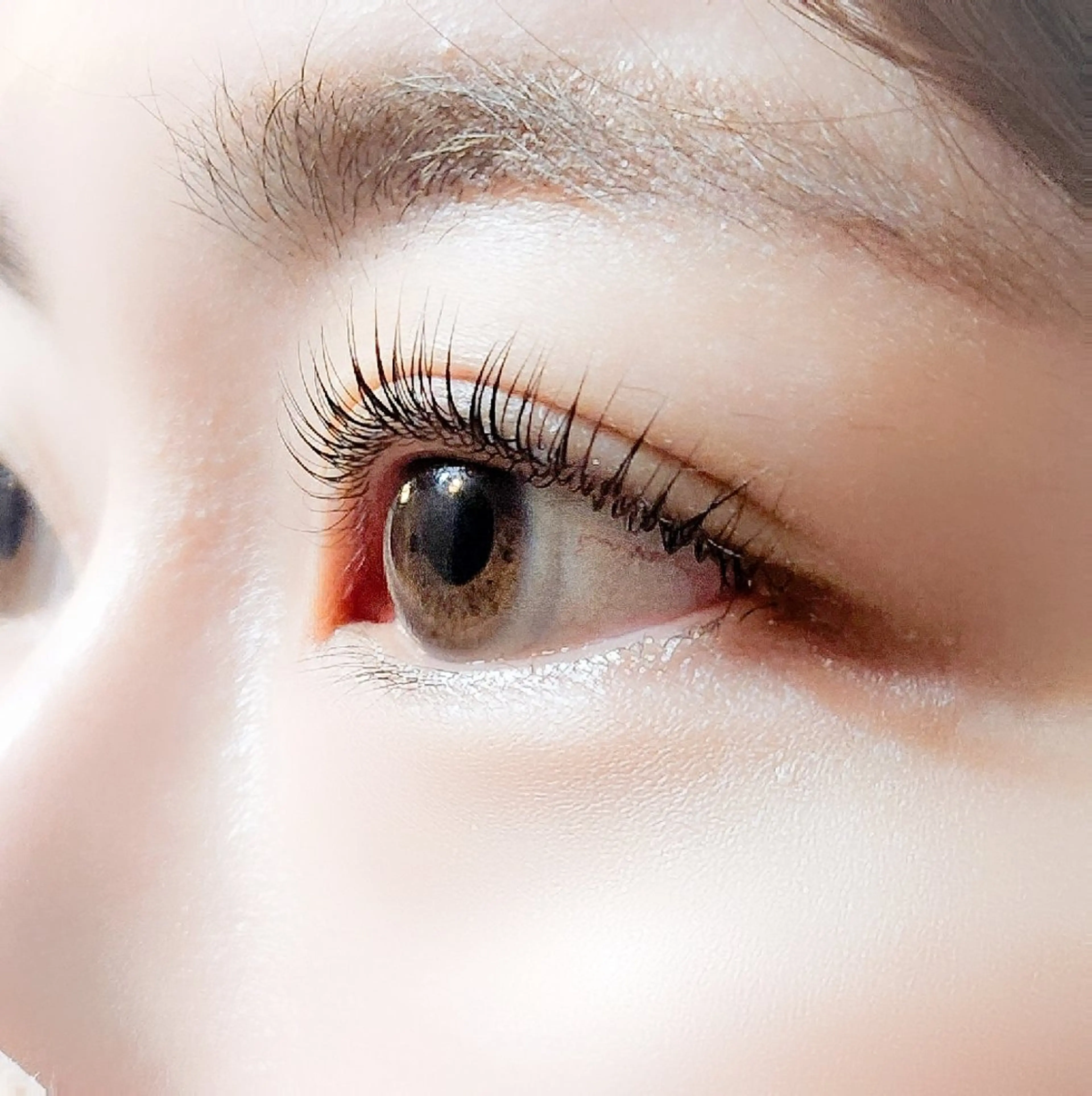 マツエク・マツパ まつげパーマ アイラッシュ コペル【Copel】所属・個室サロンcopel 　kishimotoのマツエク・マツパデザイン