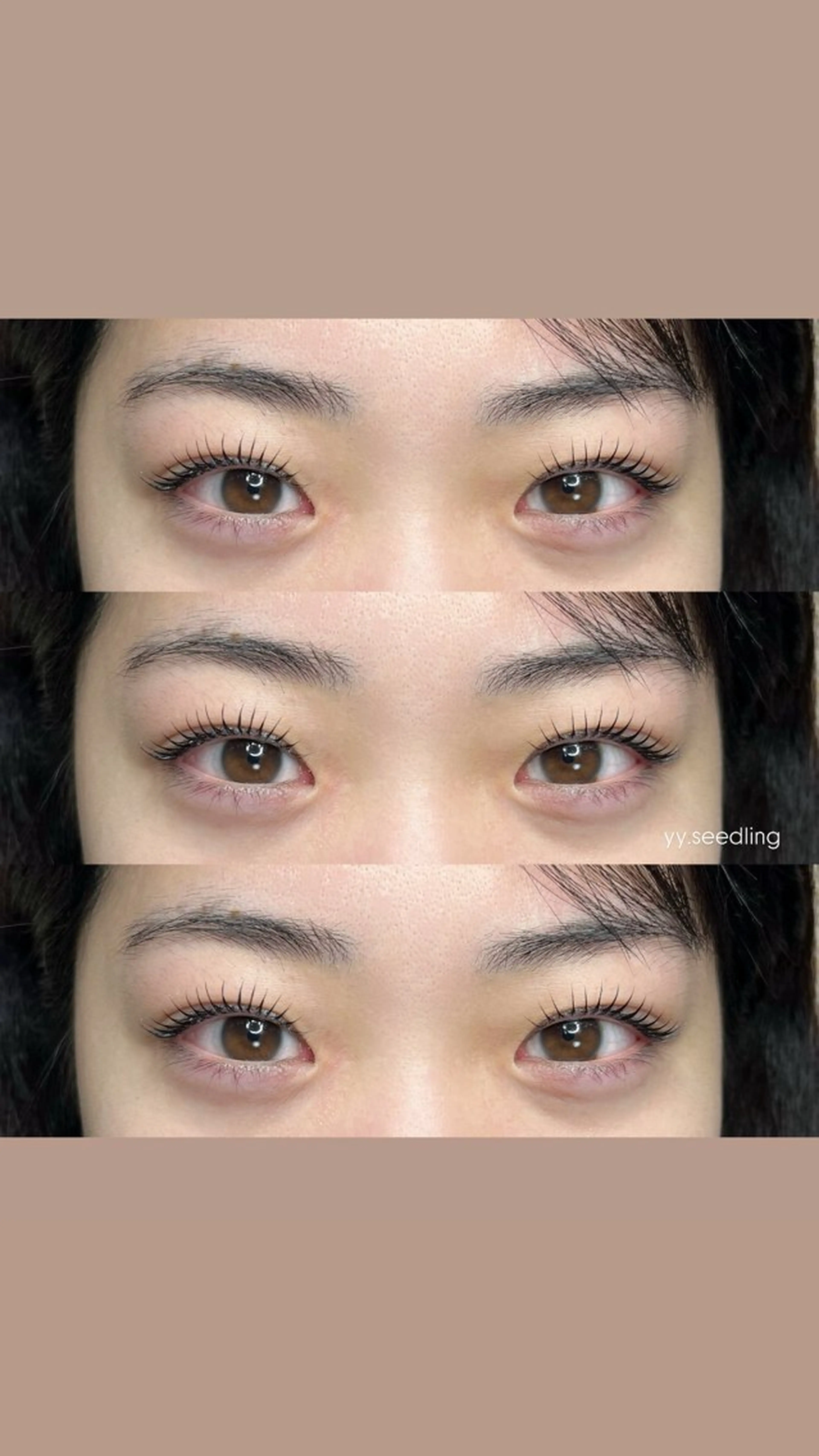 【平日女性限定】まつ毛パーマの写真