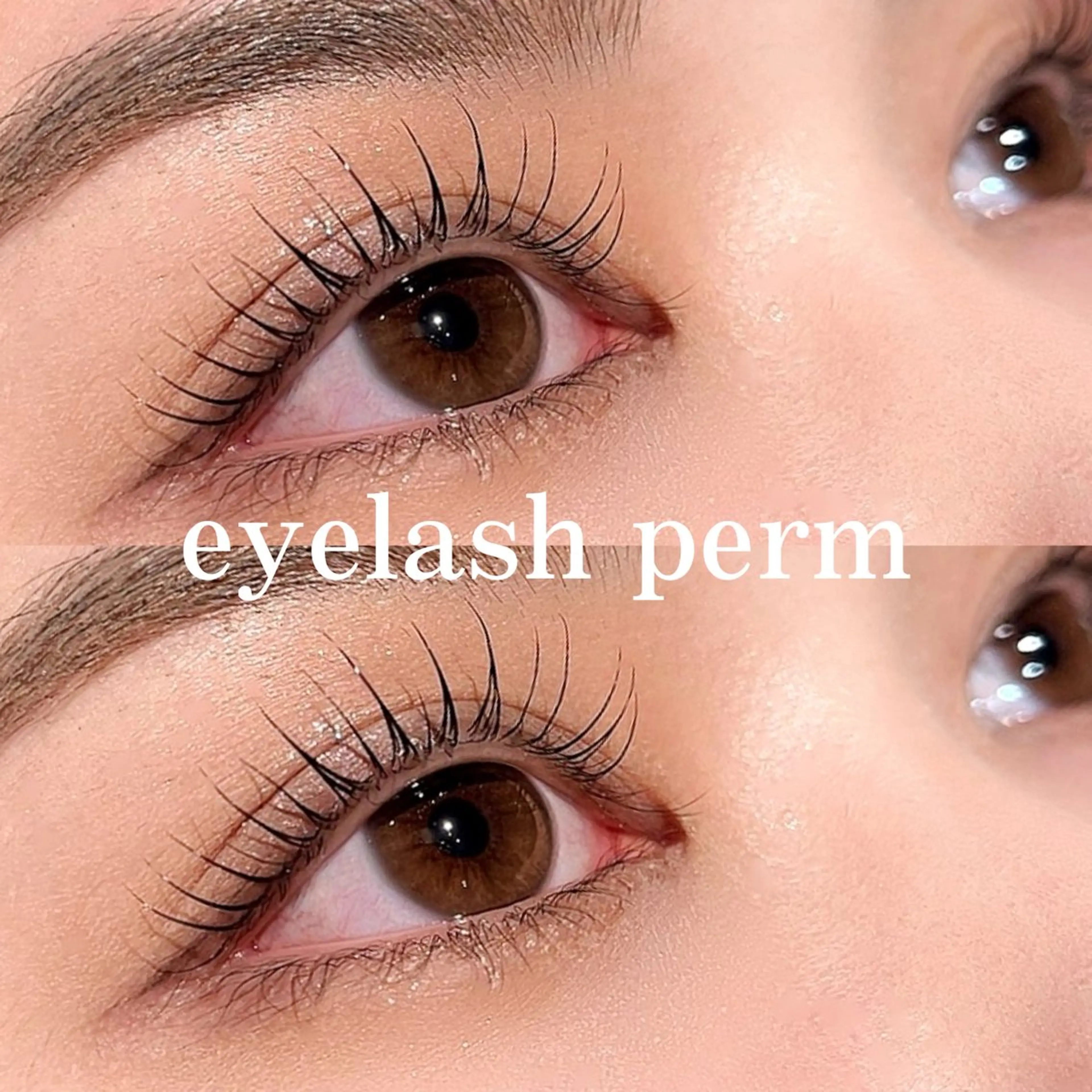 《ご新規様》まつげパーマ　パリジェンヌ風立ち上げや可愛らしいカールなど🫧 🎟️チケットお持ちの方もこちら🎟️の写真