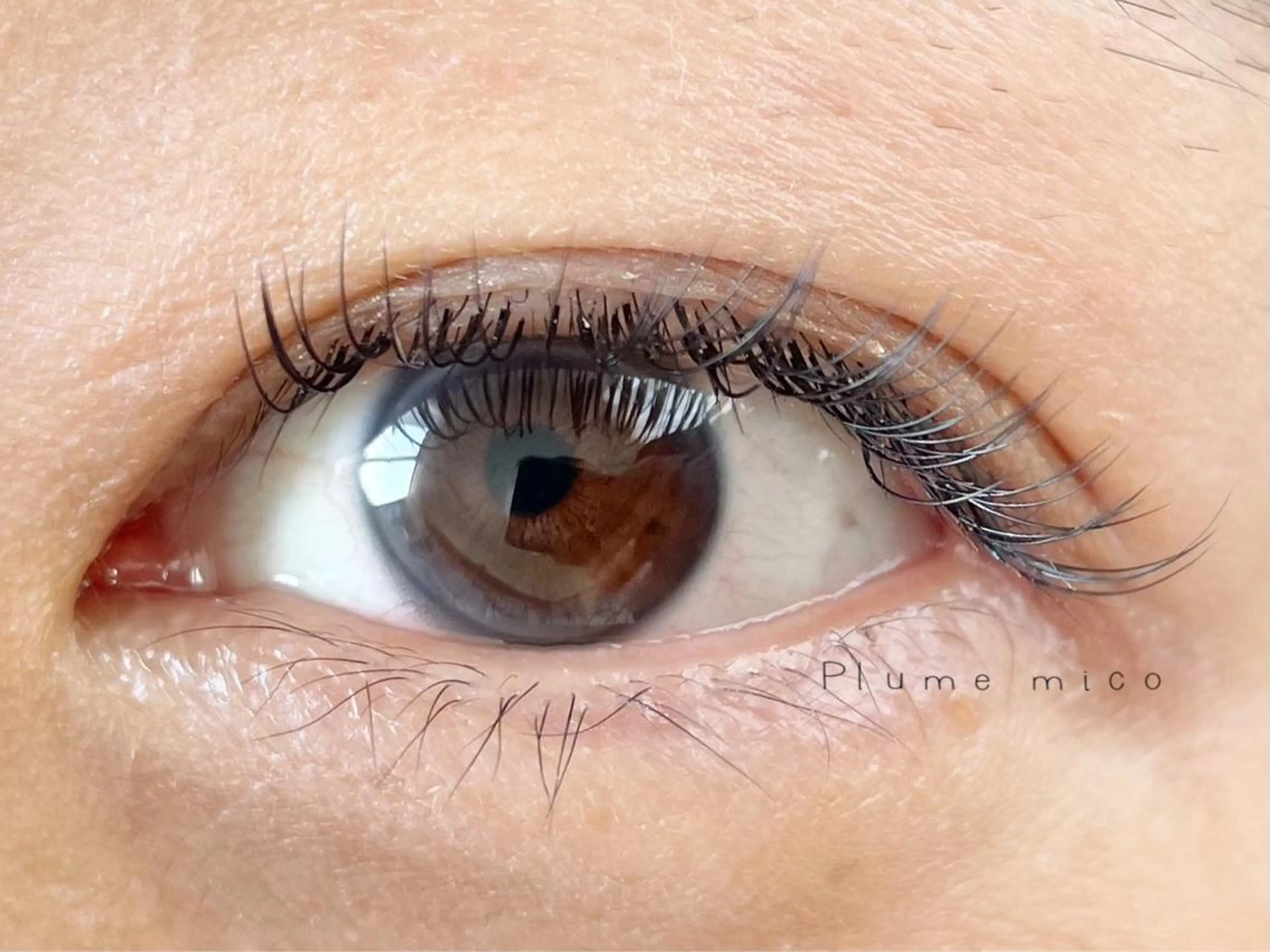 マツエク・マツパ マツエク Plume micoのマツエク・マツパデザイン