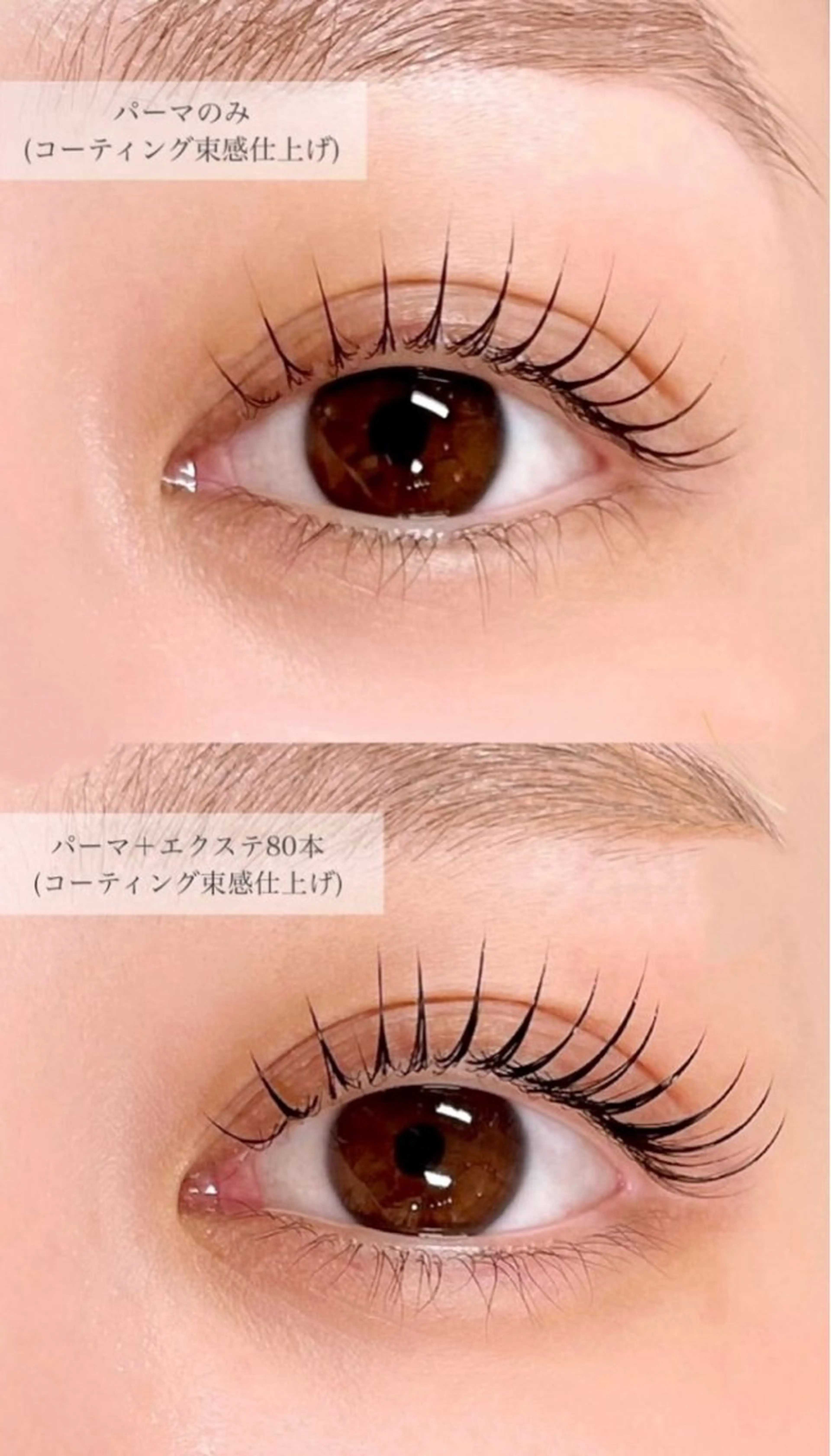 マツエク・マツパ マツエク APEX EYELASHのマツエク・マツパデザイン