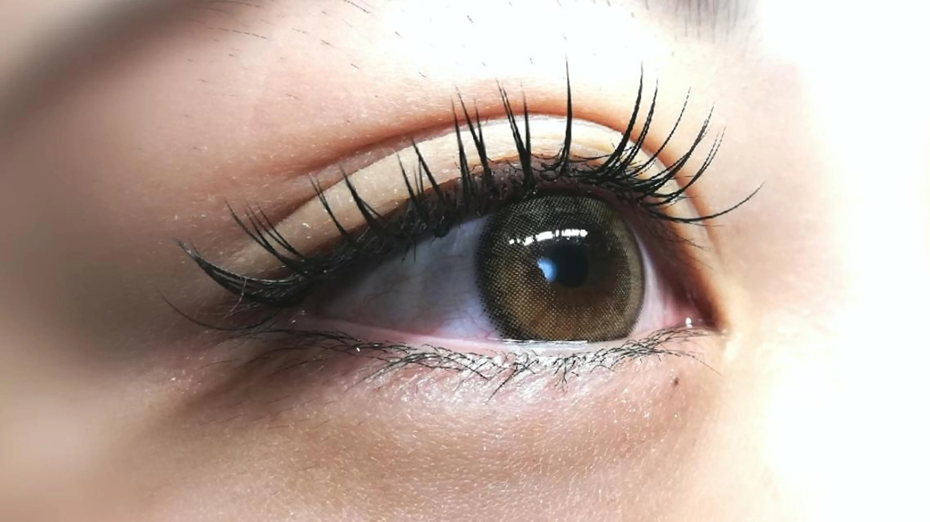 マツエク・マツパ Cカール キュート セーブル angelux 所属・完全個室サロン🌹 angelux🌹のマツエク・マツパデザイン