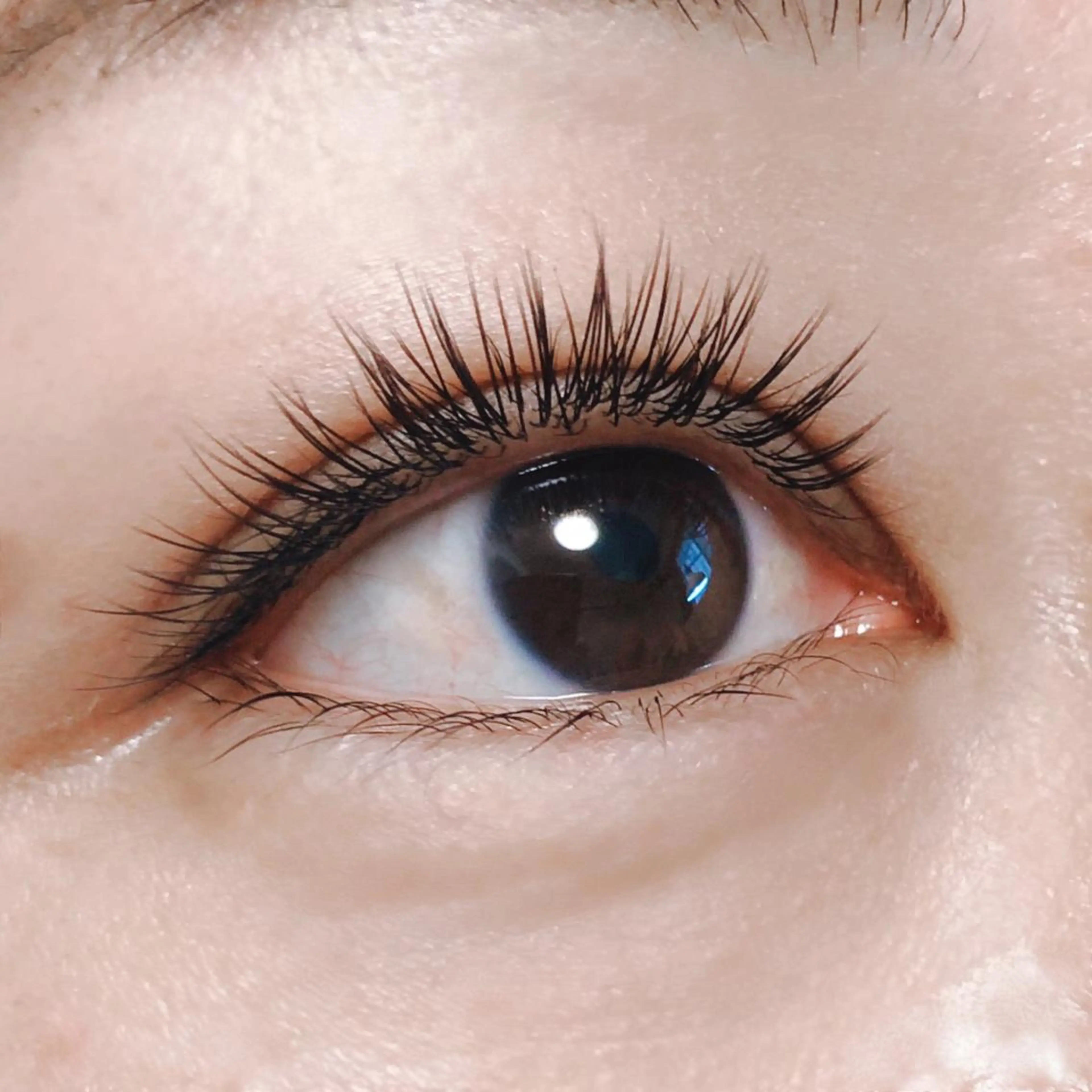 マツエク・マツパ フラットラッシュ eyelash hibiのマツエク・マツパデザイン