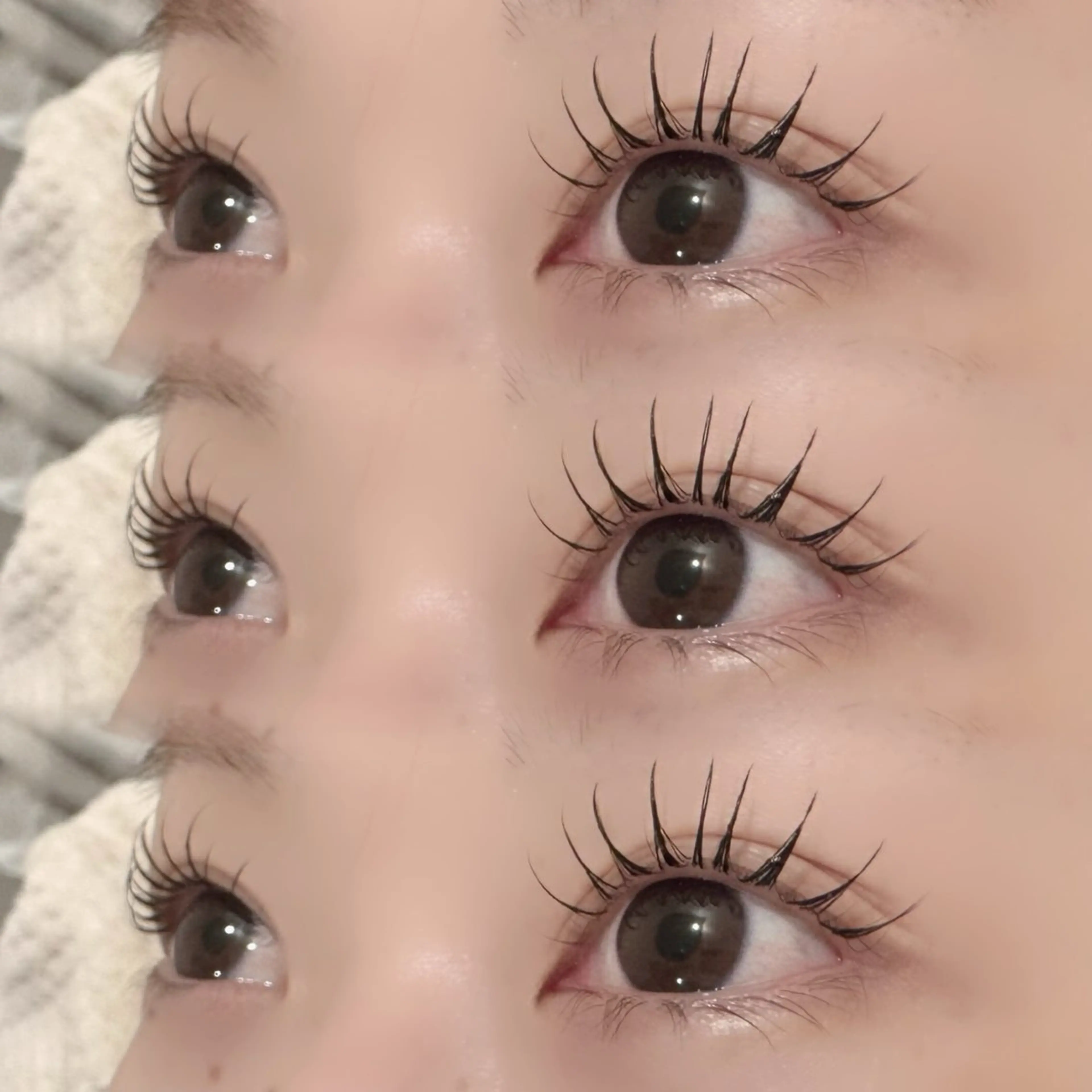 マツエク・マツパ MaaZ 7🦖⸒⸒のマツエク・マツパデザイン