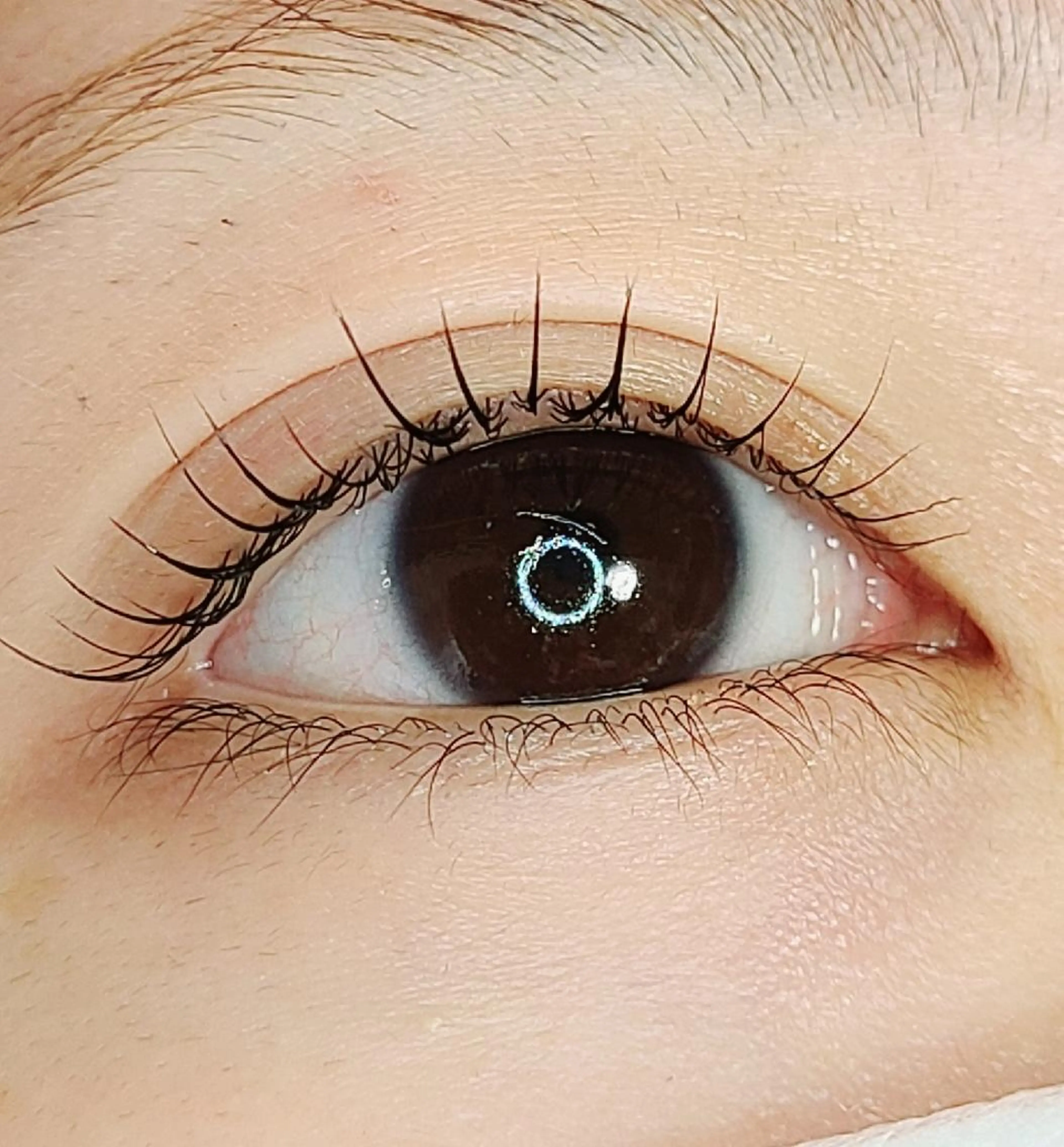 マツエク・マツパ マツパ セレビアイ/ ISHIIのマツエク・マツパデザイン