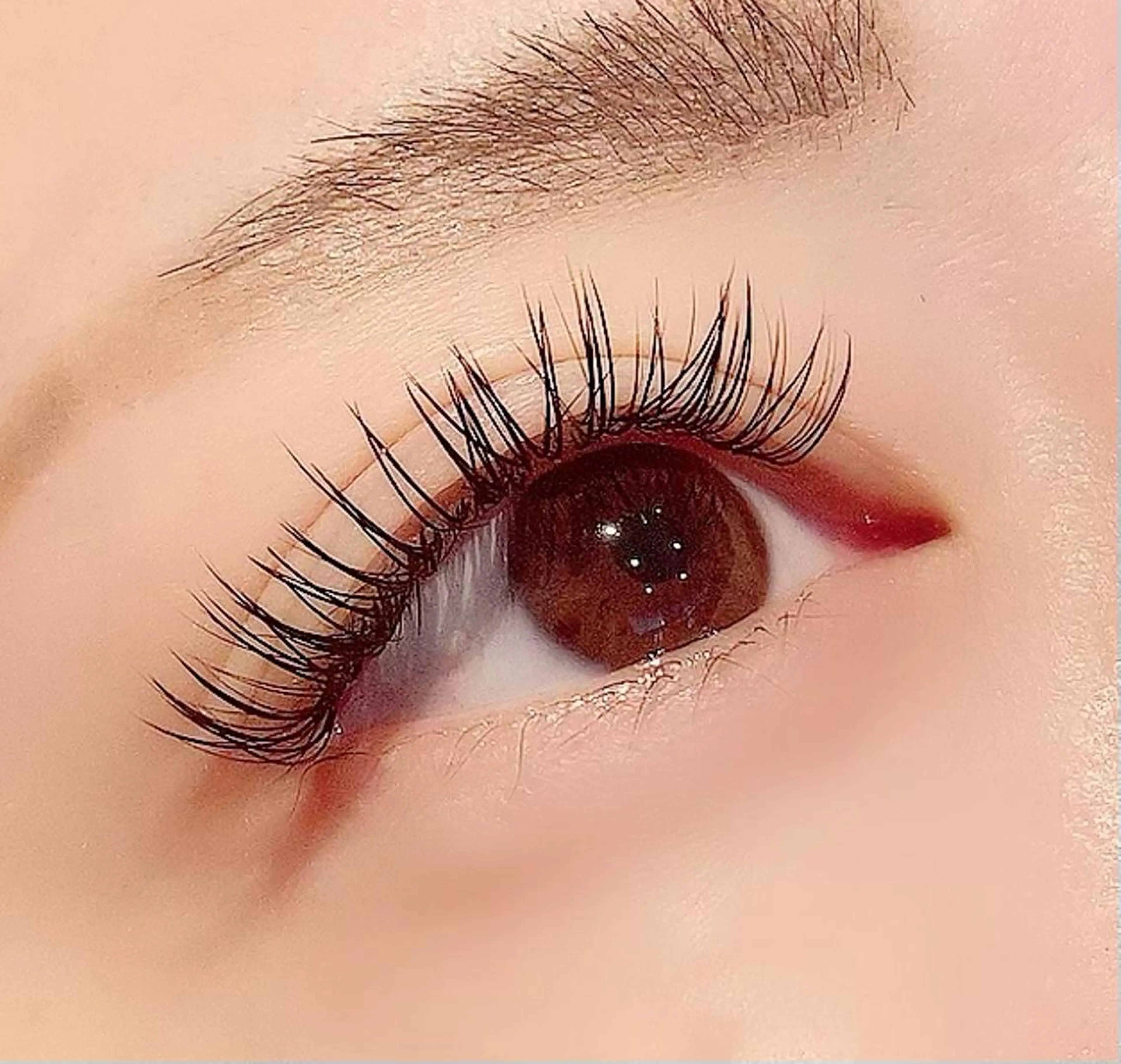 マツエク・マツパ RIGOLETTO 🤍吉成愛華のマツエク・マツパデザイン