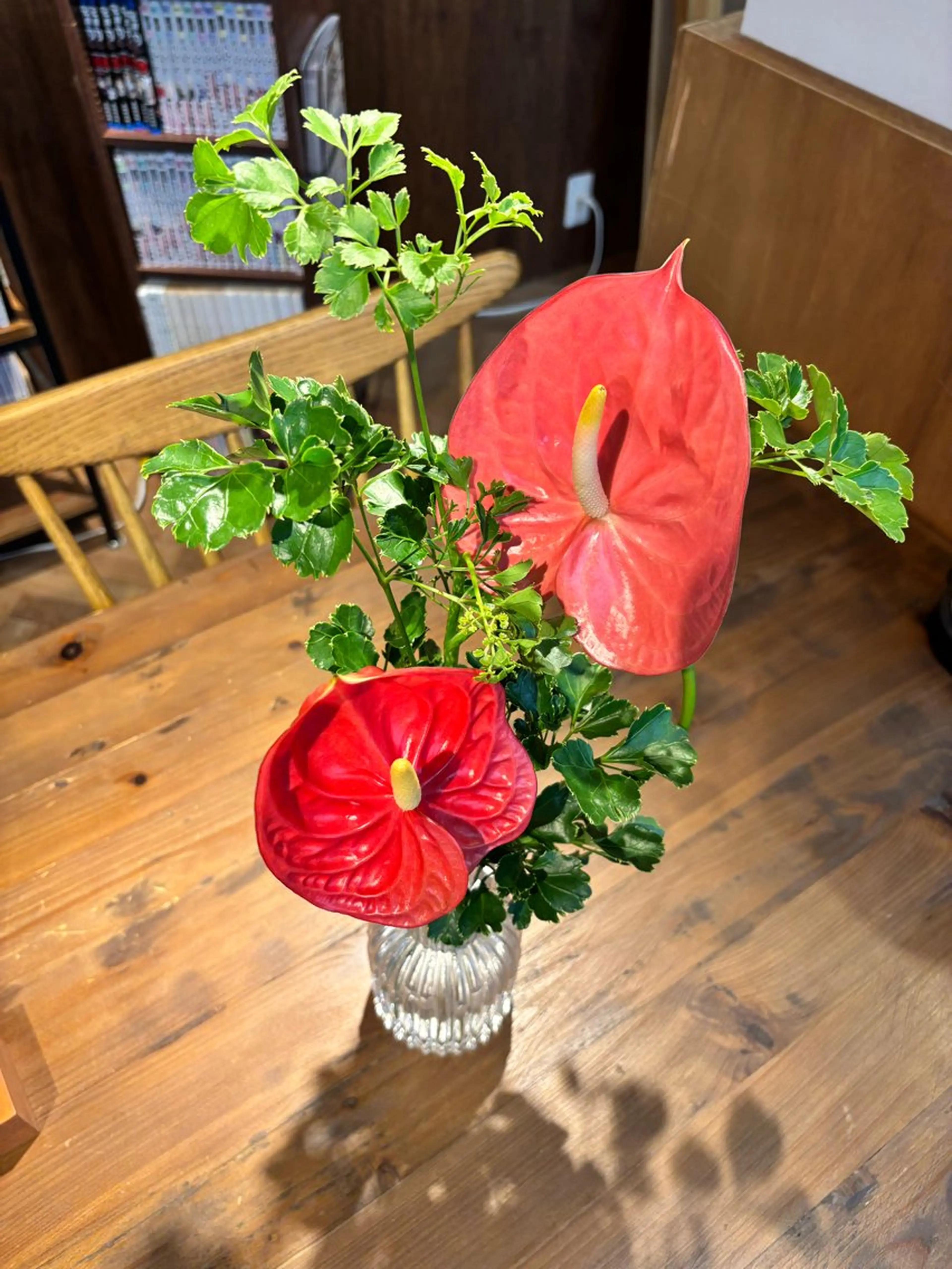 中村 芽衣那のヘアスタイル