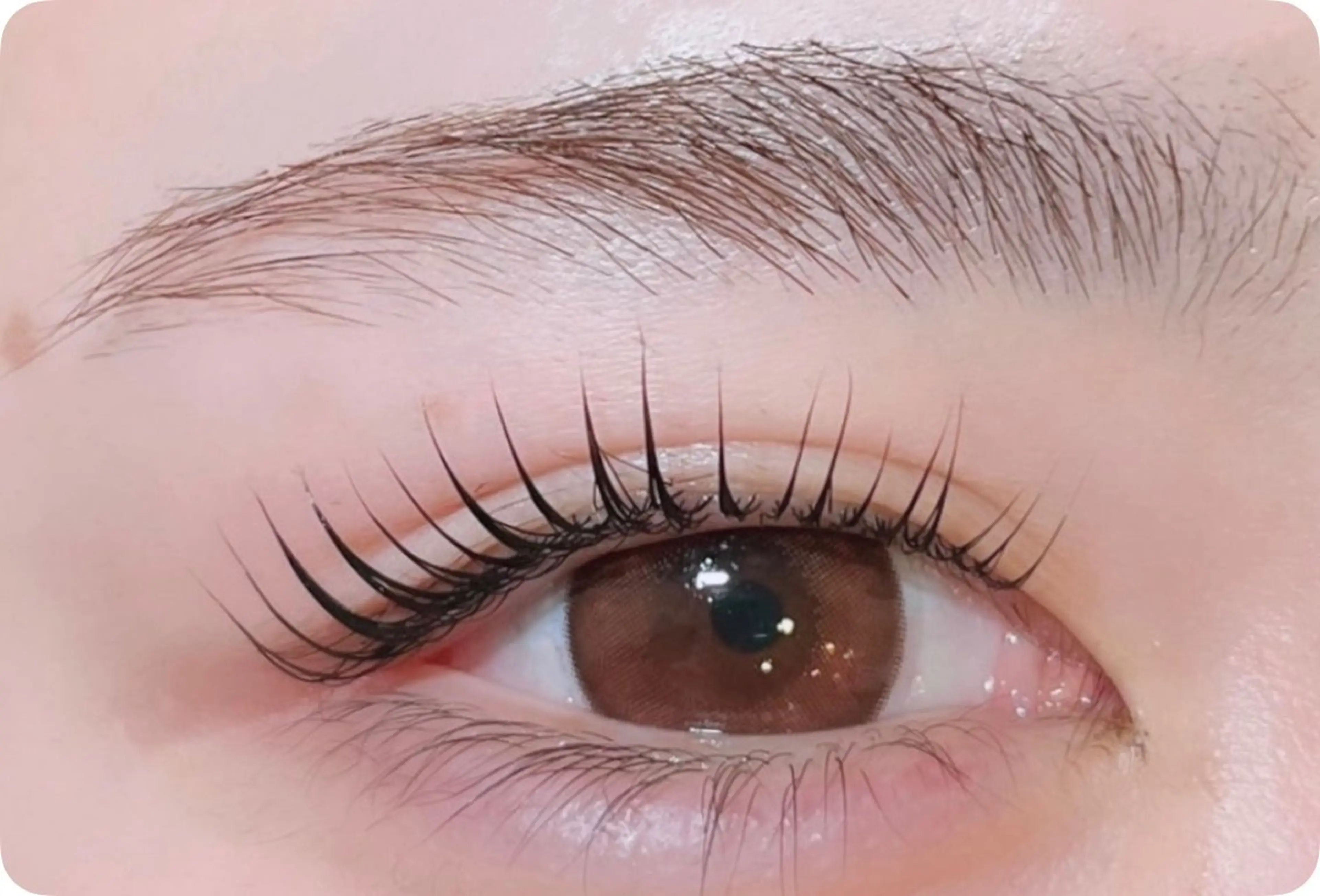 マスカラパーマ🪄❣️の写真