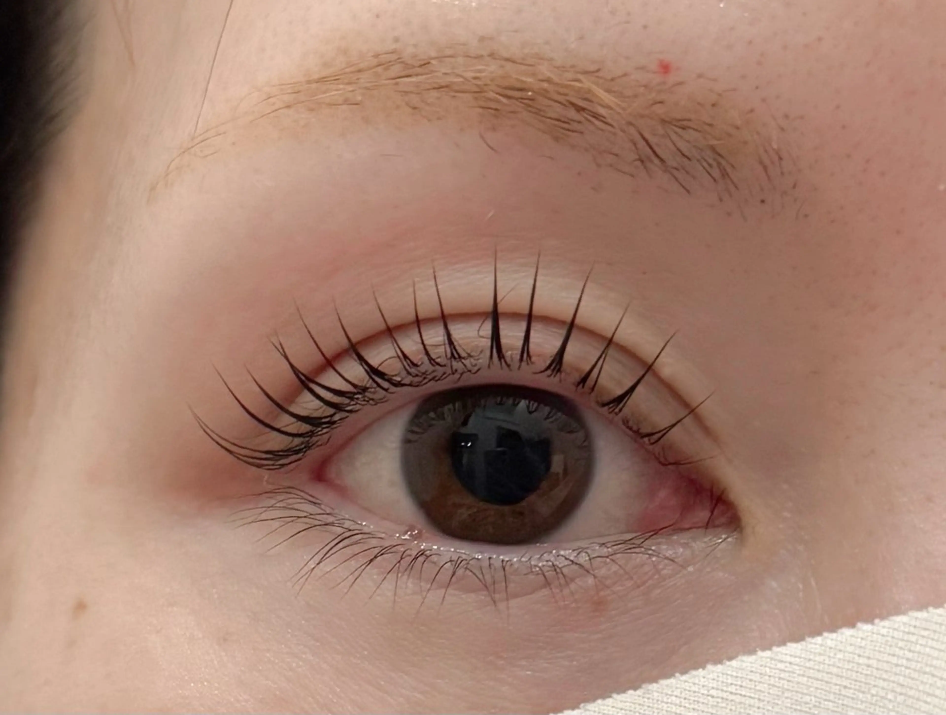 【立ち上げパーマのみ】まつ毛パーマ✴︎新しい商材の技術向上のモデル✴︎条件アリの写真