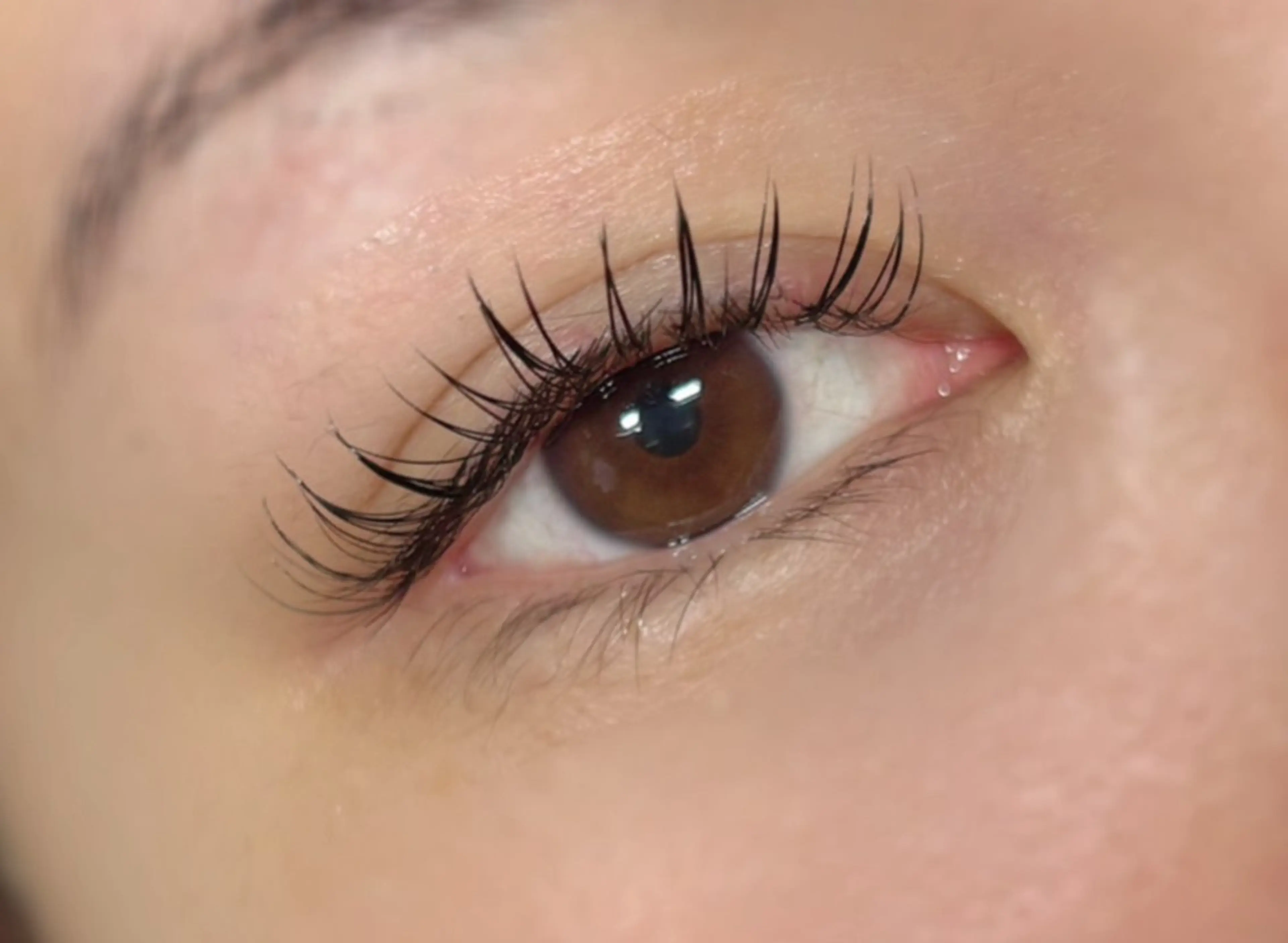 マツエク・マツパ マツエク Kanal Kanaのエステ・リラクイメージ