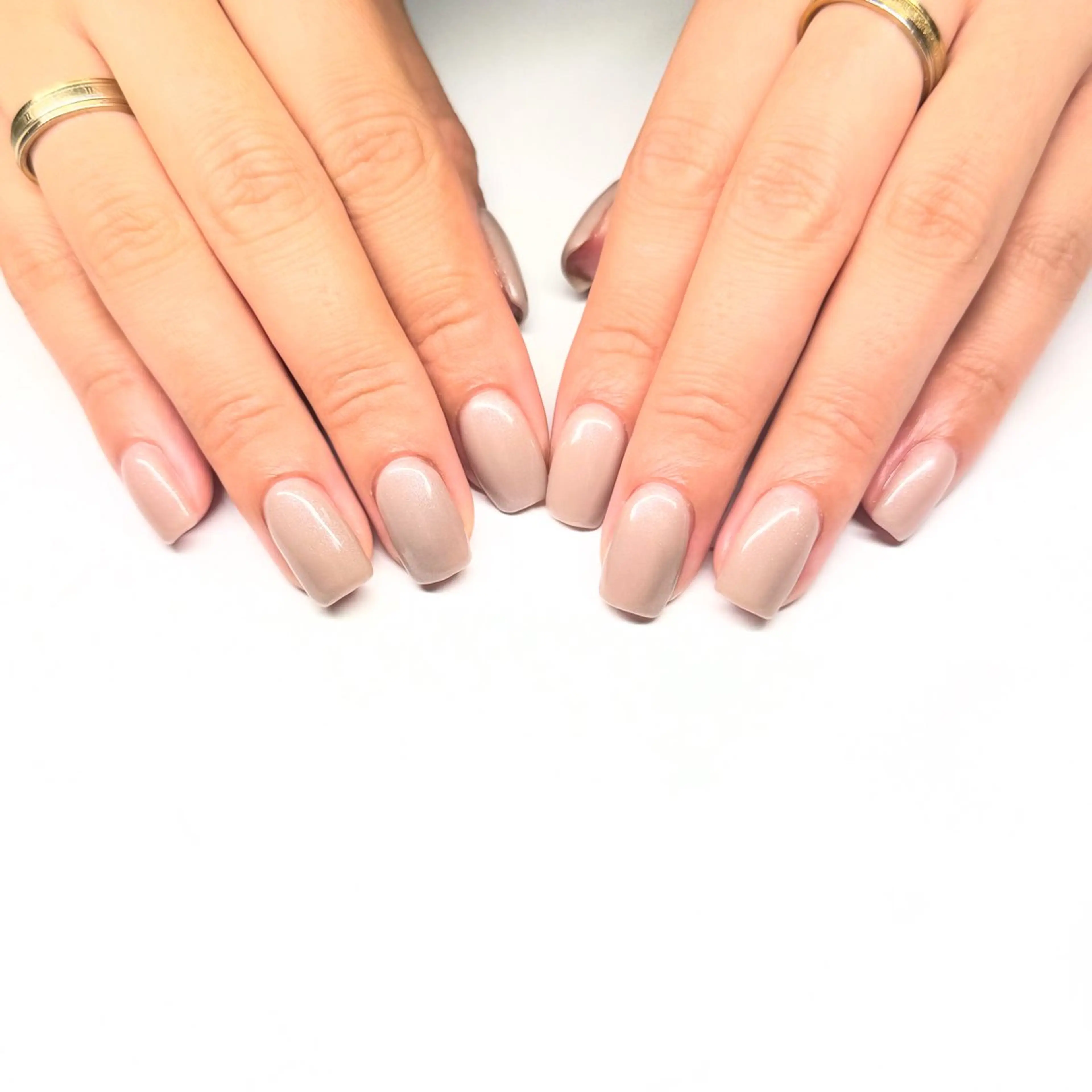 (オフ込み)ワンカラー/の写真