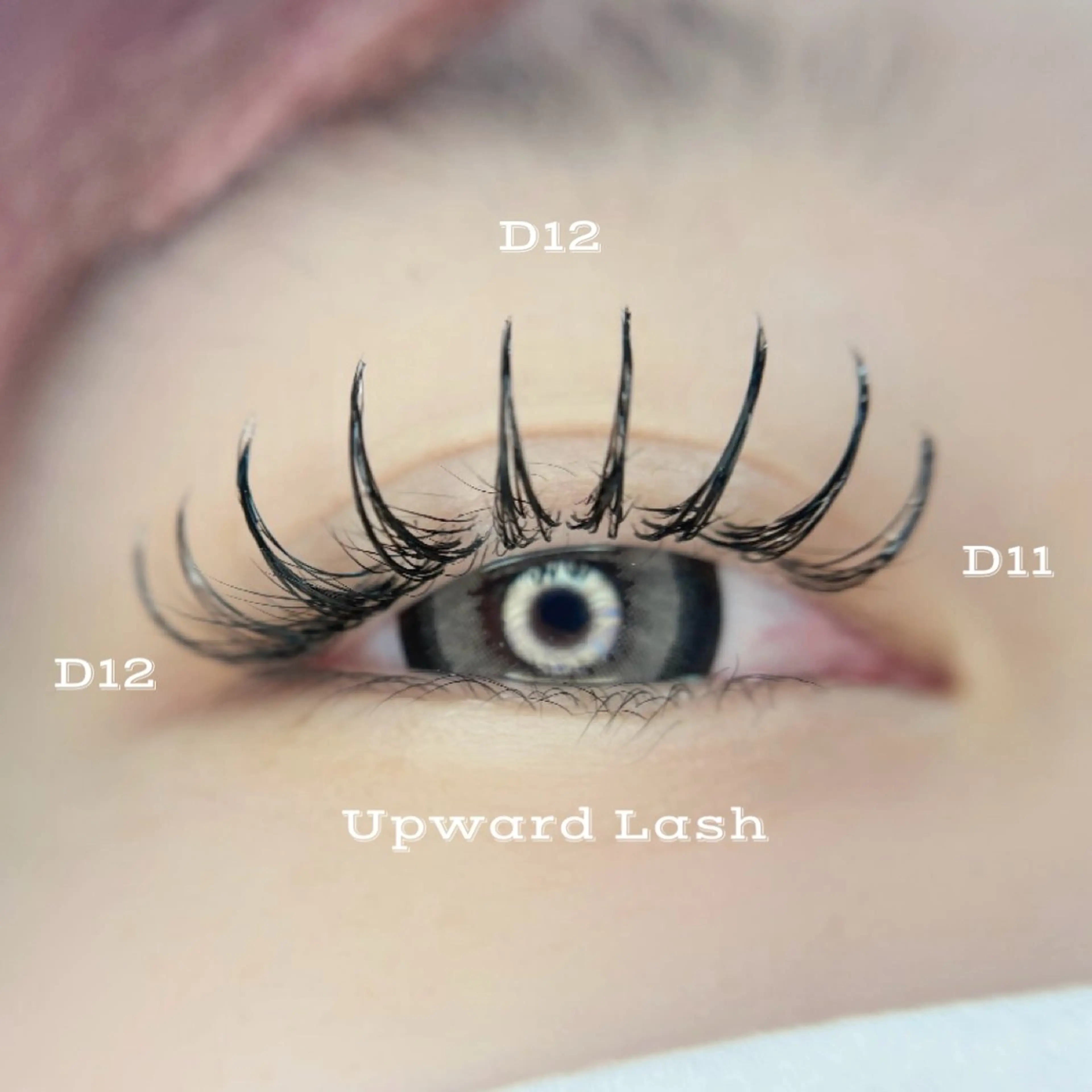 マツエク・マツパ Dカール アップワードラッシュ 🦋MaaZlash 南流山FUKA🤍のマツエク・マツパデザイン