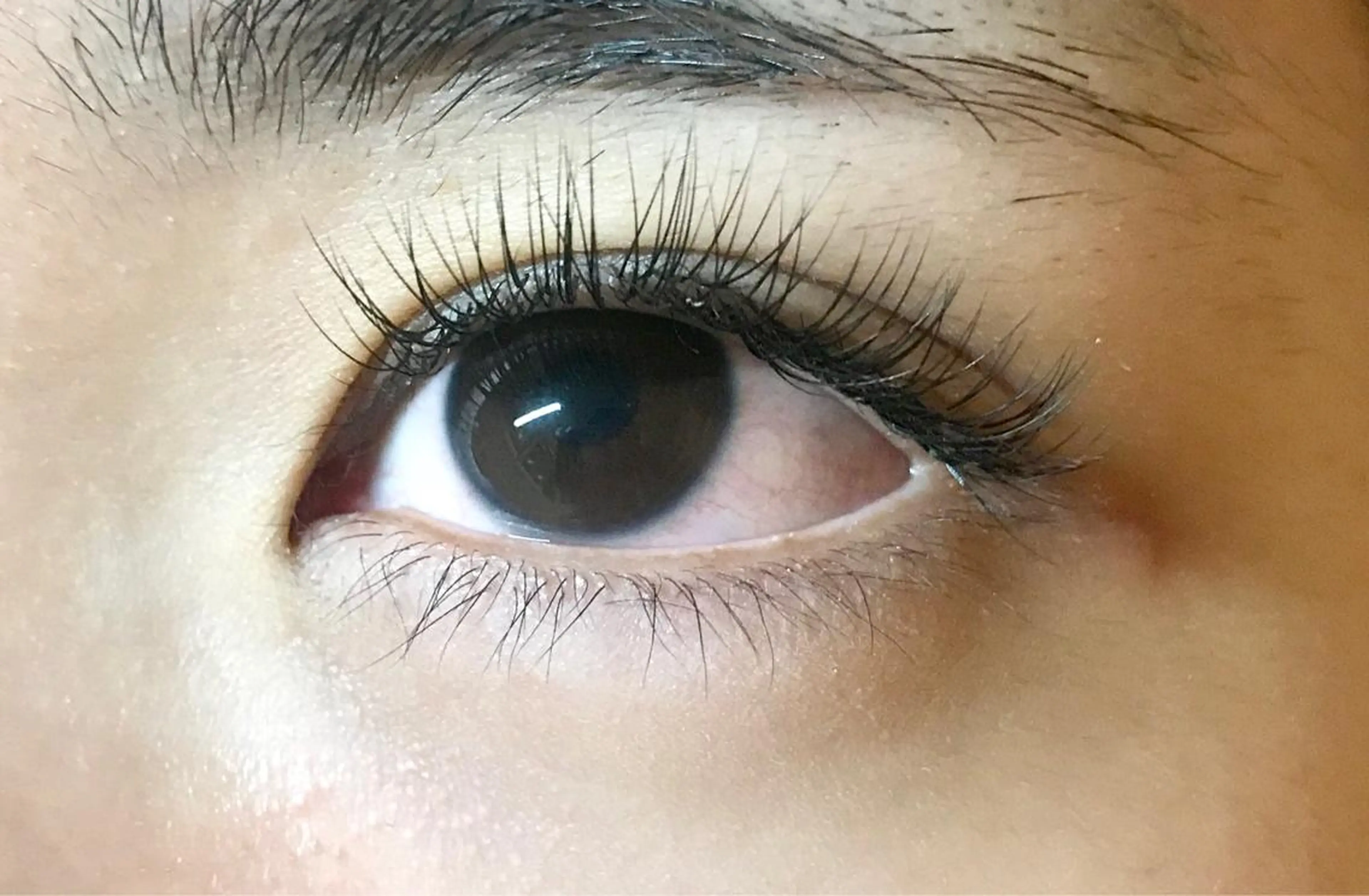 マツエク・マツパ マツエク bright Ryoyaのマツエク・マツパデザイン