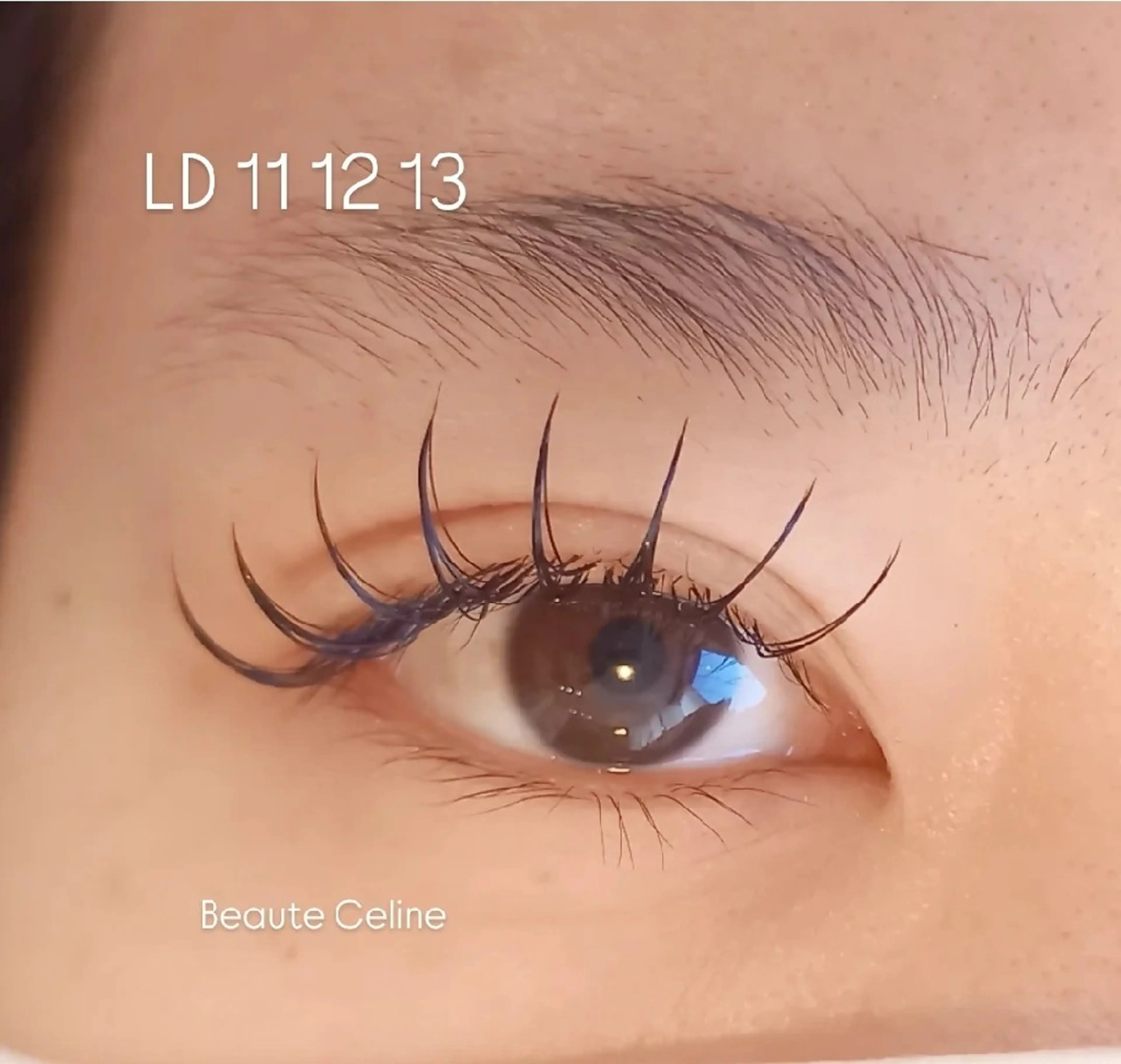 マツエク・マツパ Dカール マツエク beaute.celine所属・8時～✨beaute Celine🌛🌹のマツエク・マツパデザイン