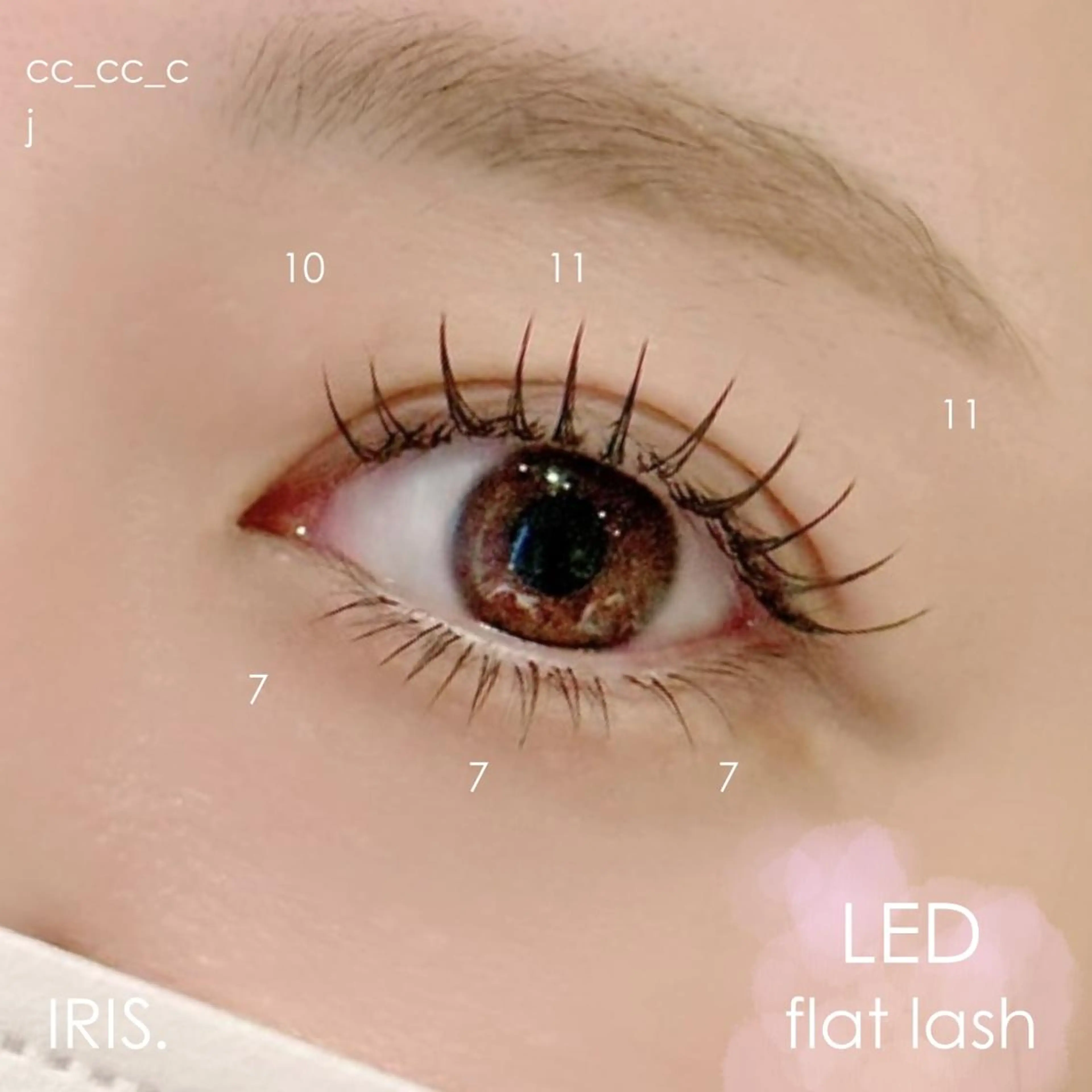 led flat lash 120本　90分 ¥7500の写真
