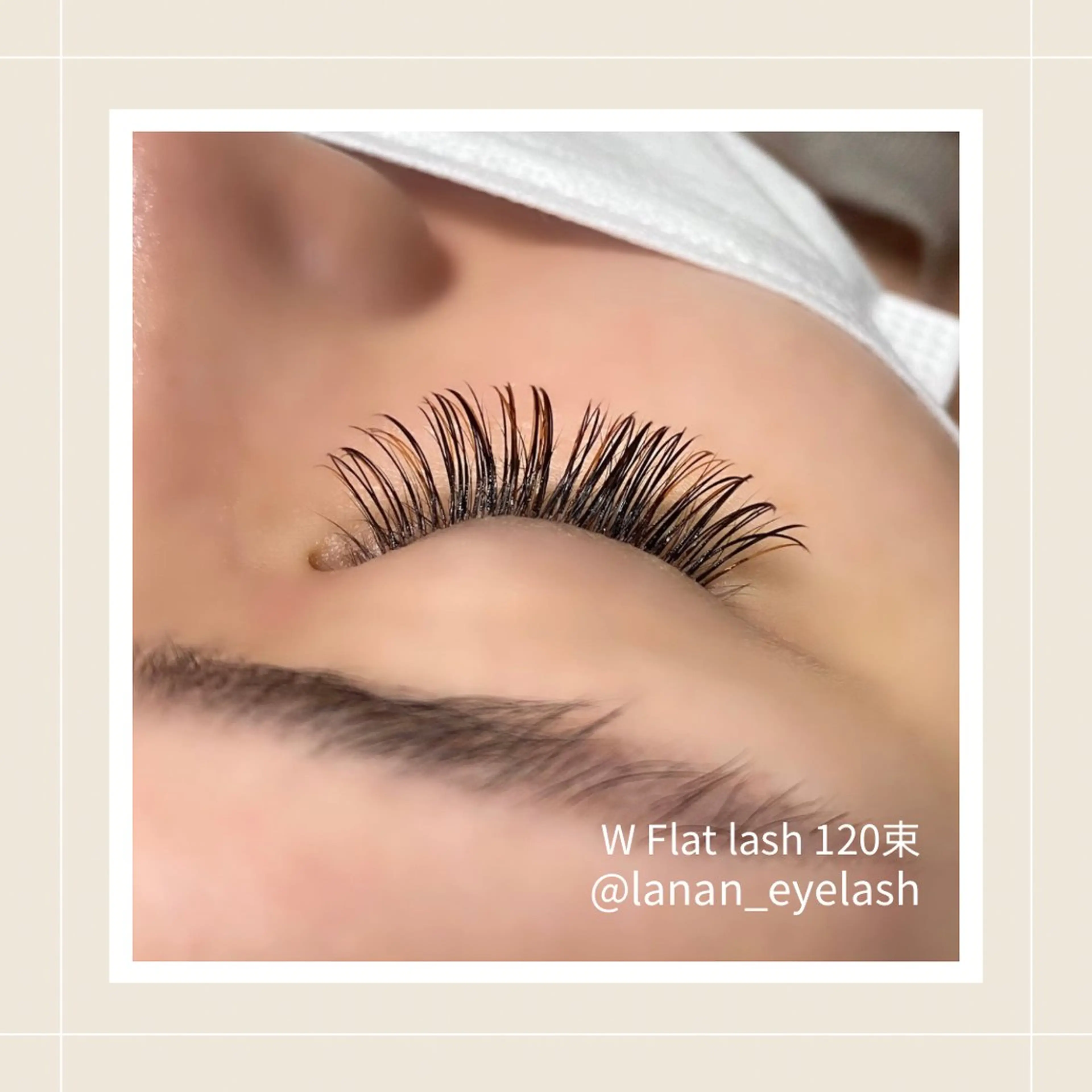 ダブルフラットラッシュ★120束の写真