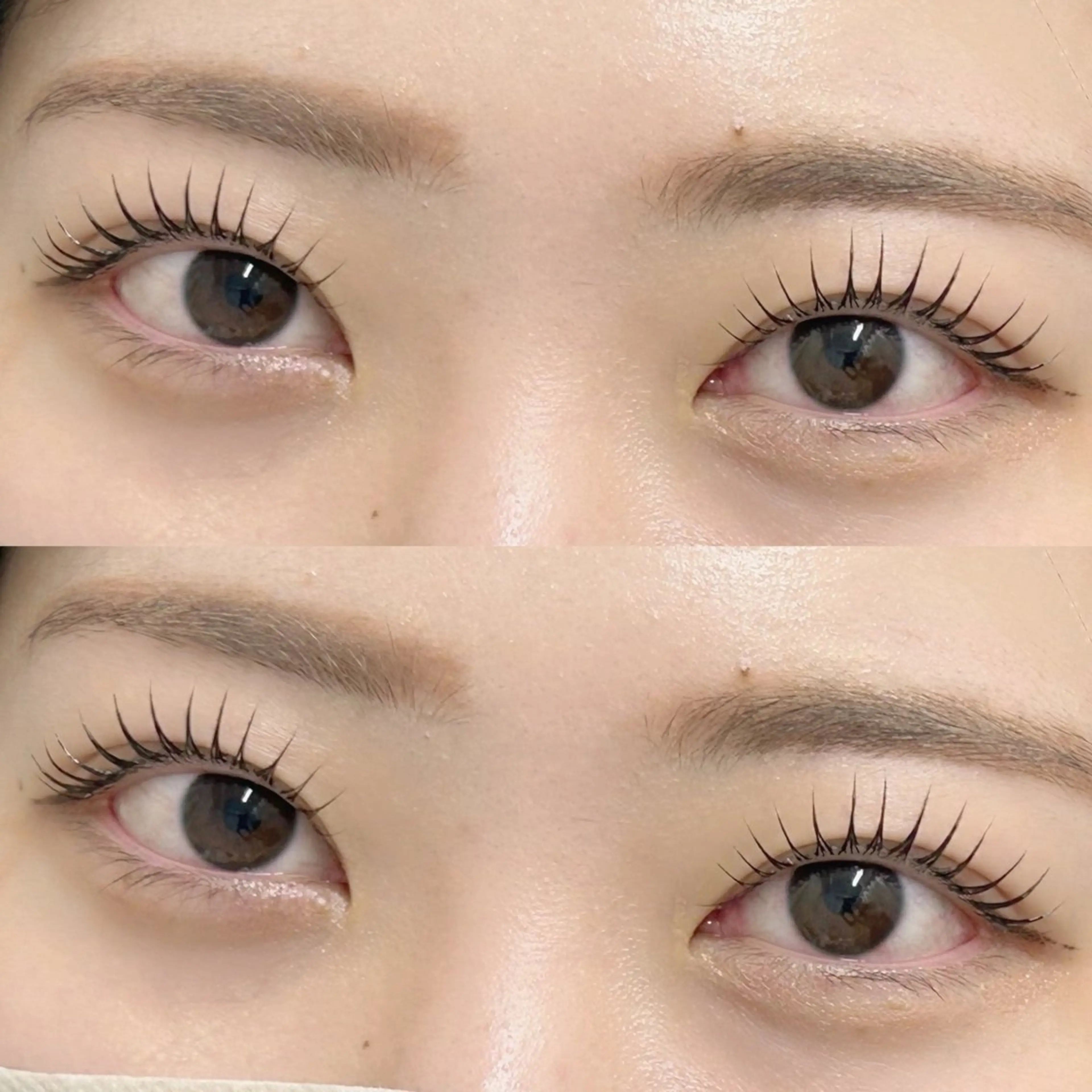 💟パリジェンヌラッシュリフト【うる艶コーティング付き】の写真