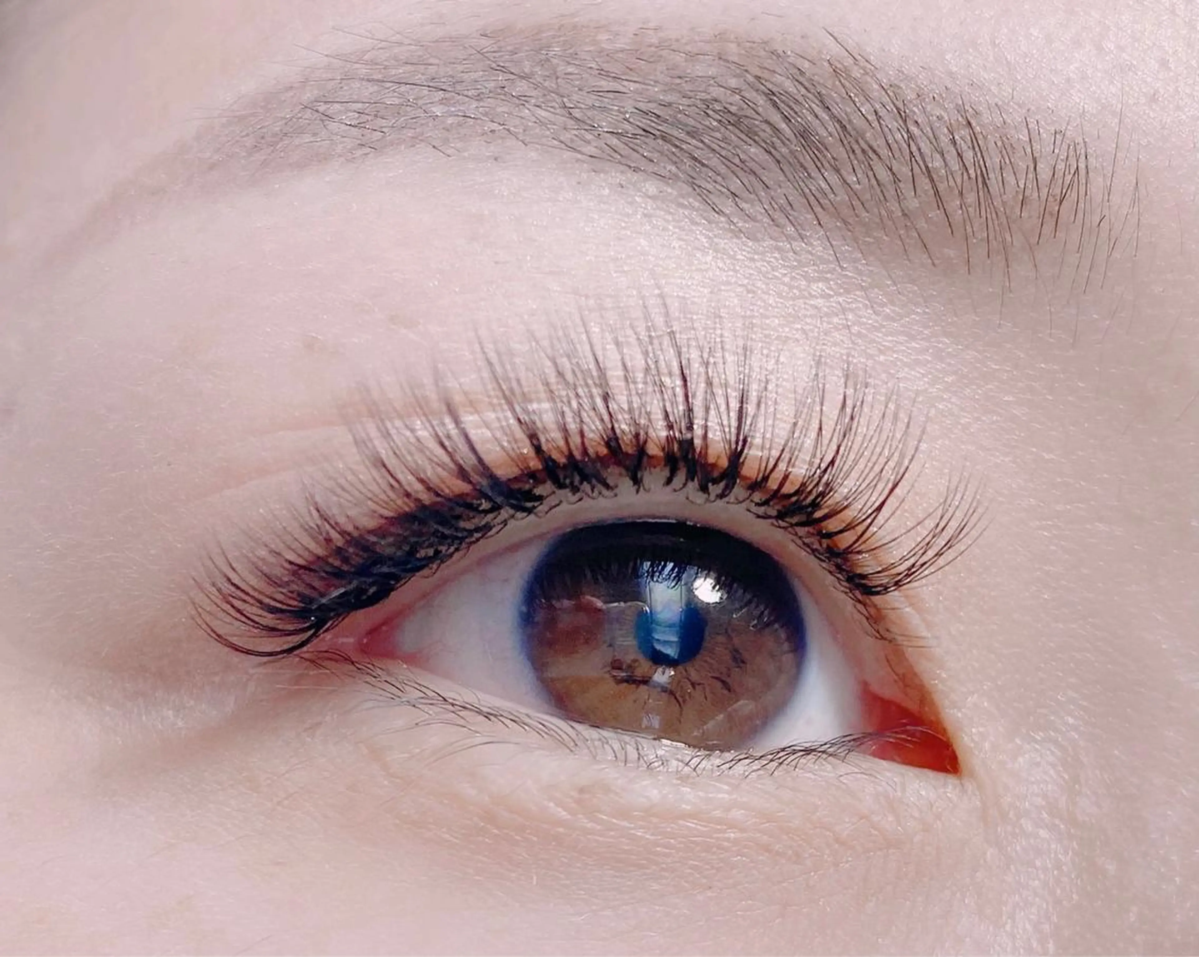 ボリュームラッシュ400本￥6000の写真