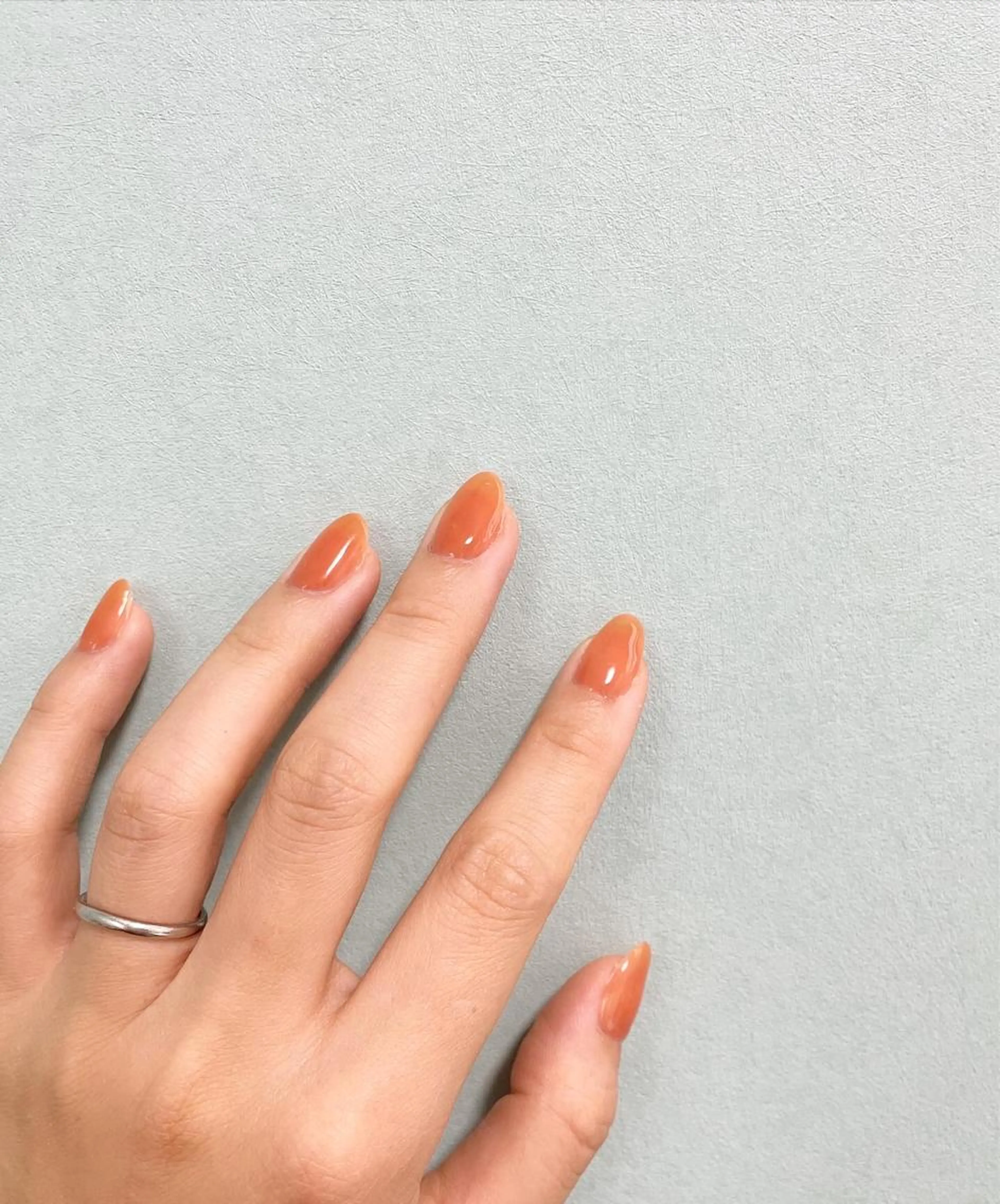 ワンカラー・グラデーションの写真