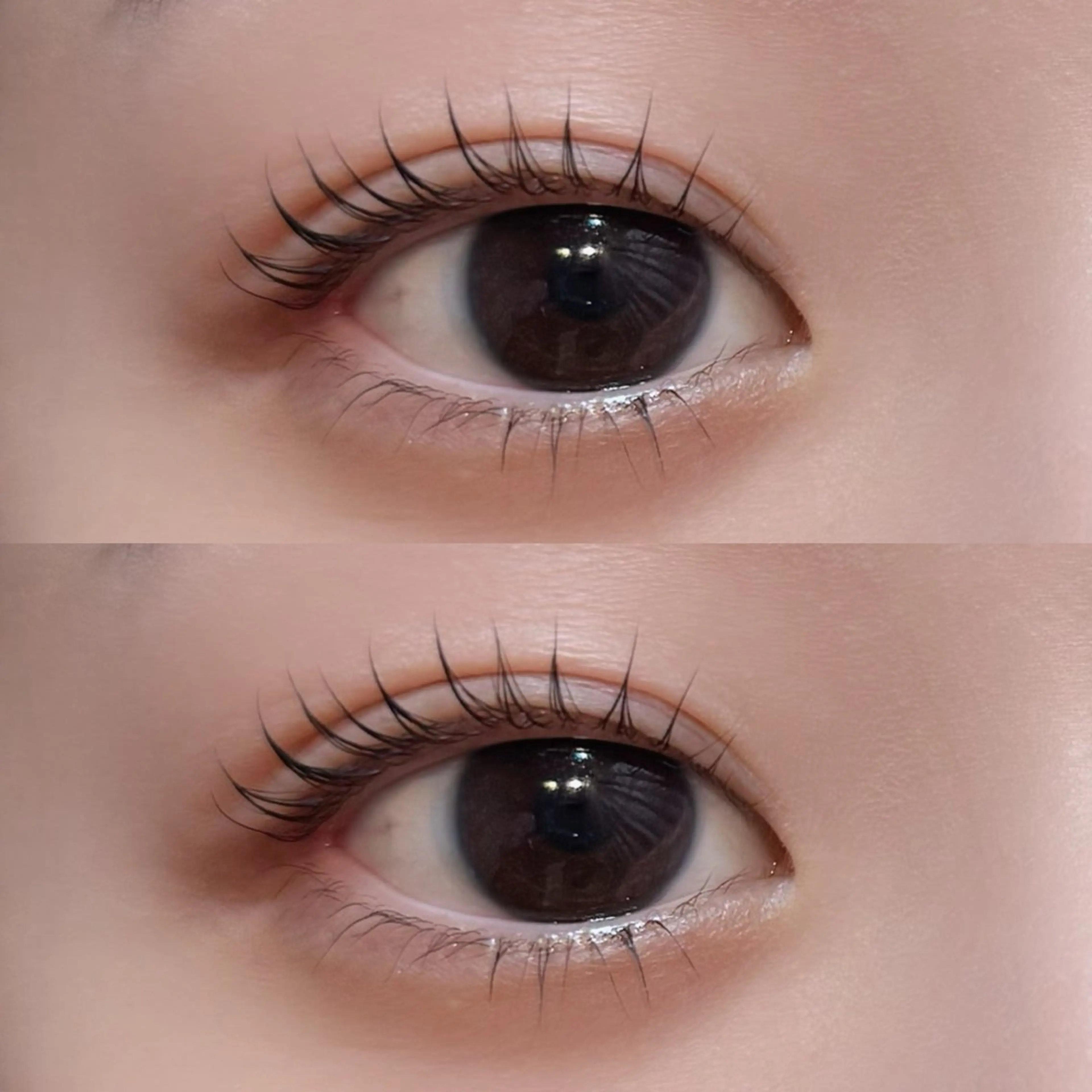 🩷オーダーメイドラッシュリフト➕下まつげパーマ🩷の写真