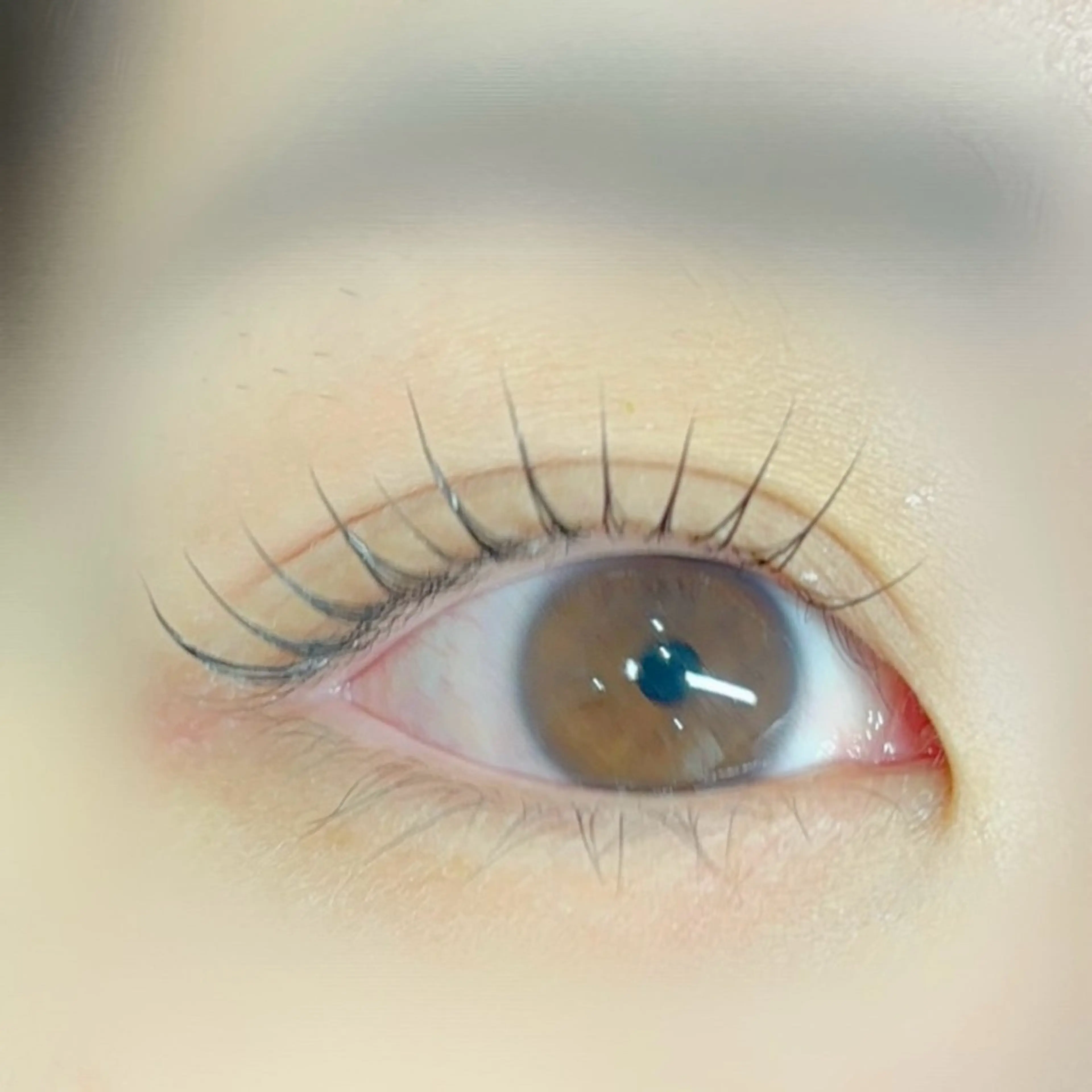 マツエク・マツパ sHeeR【シアー】 ハマナカのマツエク・マツパデザイン