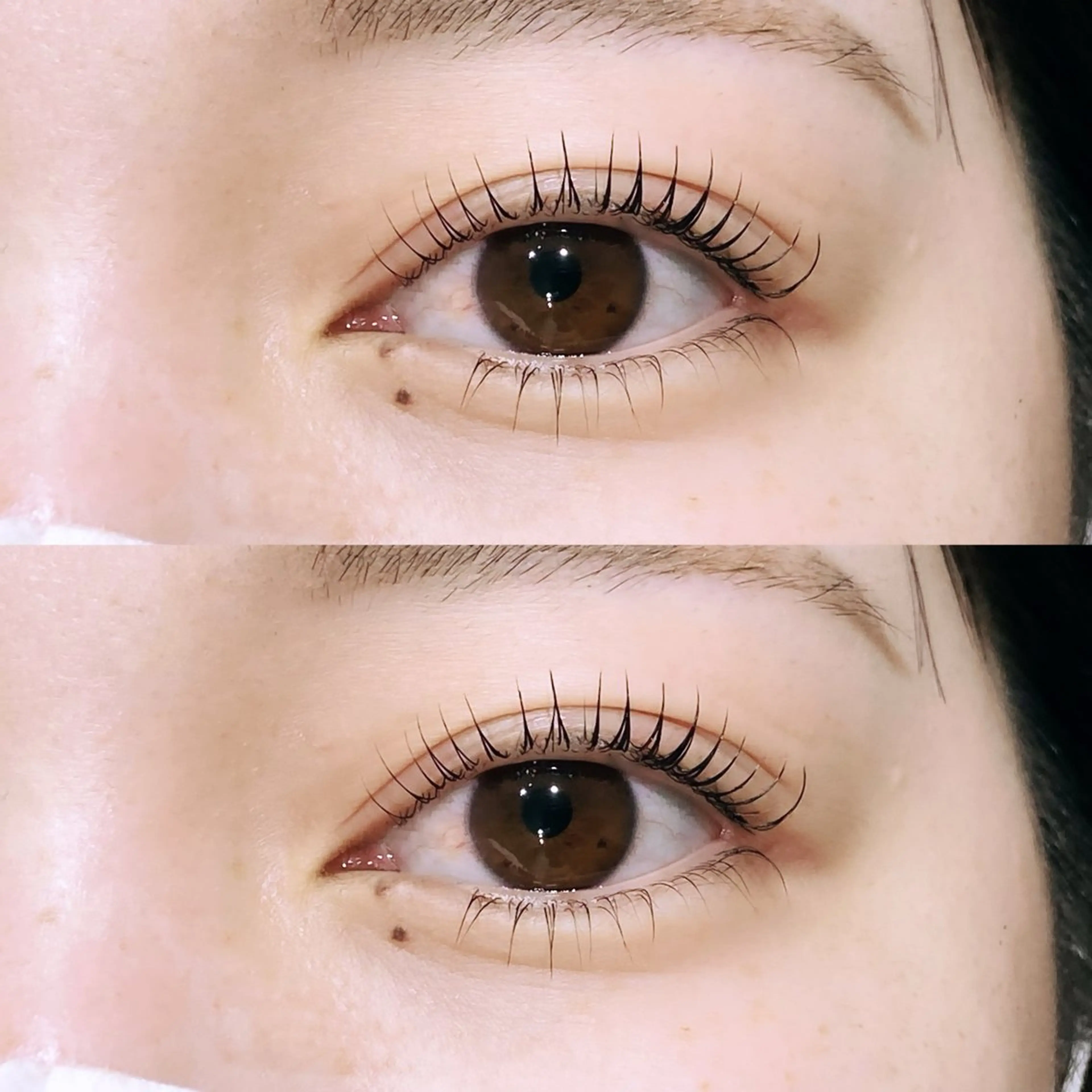 マツエク・マツパ マツパ パリジェンヌ/眉毛 Lino柏 Yumeのマツエク・マツパデザイン