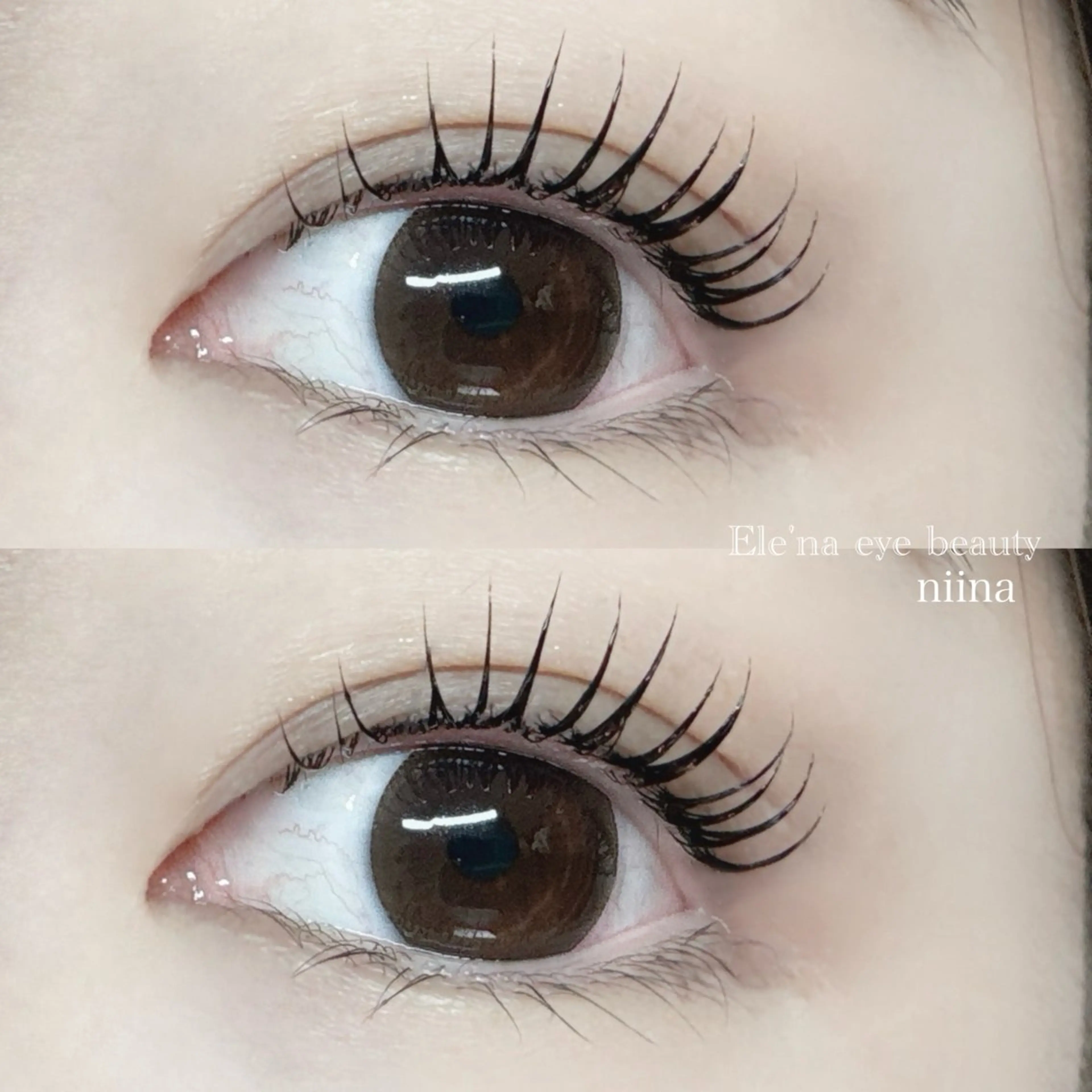 【韓国で話題】マスカラパーマ🌹《 ケアトリートメント・コーティング付き 》パーマの持ちもUP ♡ᵎᵎᵎの写真