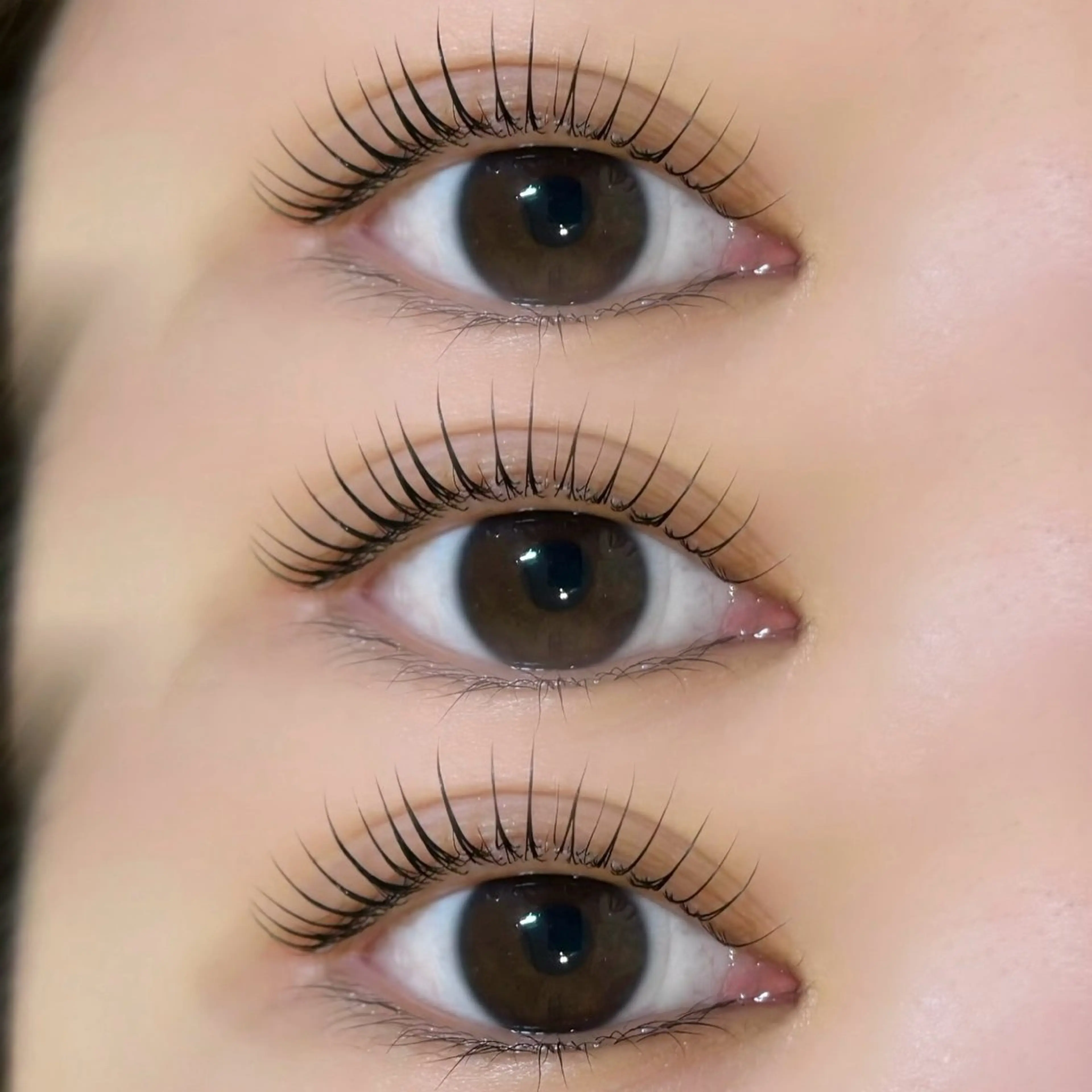 マツエク・マツパ マツパ 束感/LED/まつパ 🌼segawaのマツエク・マツパデザイン