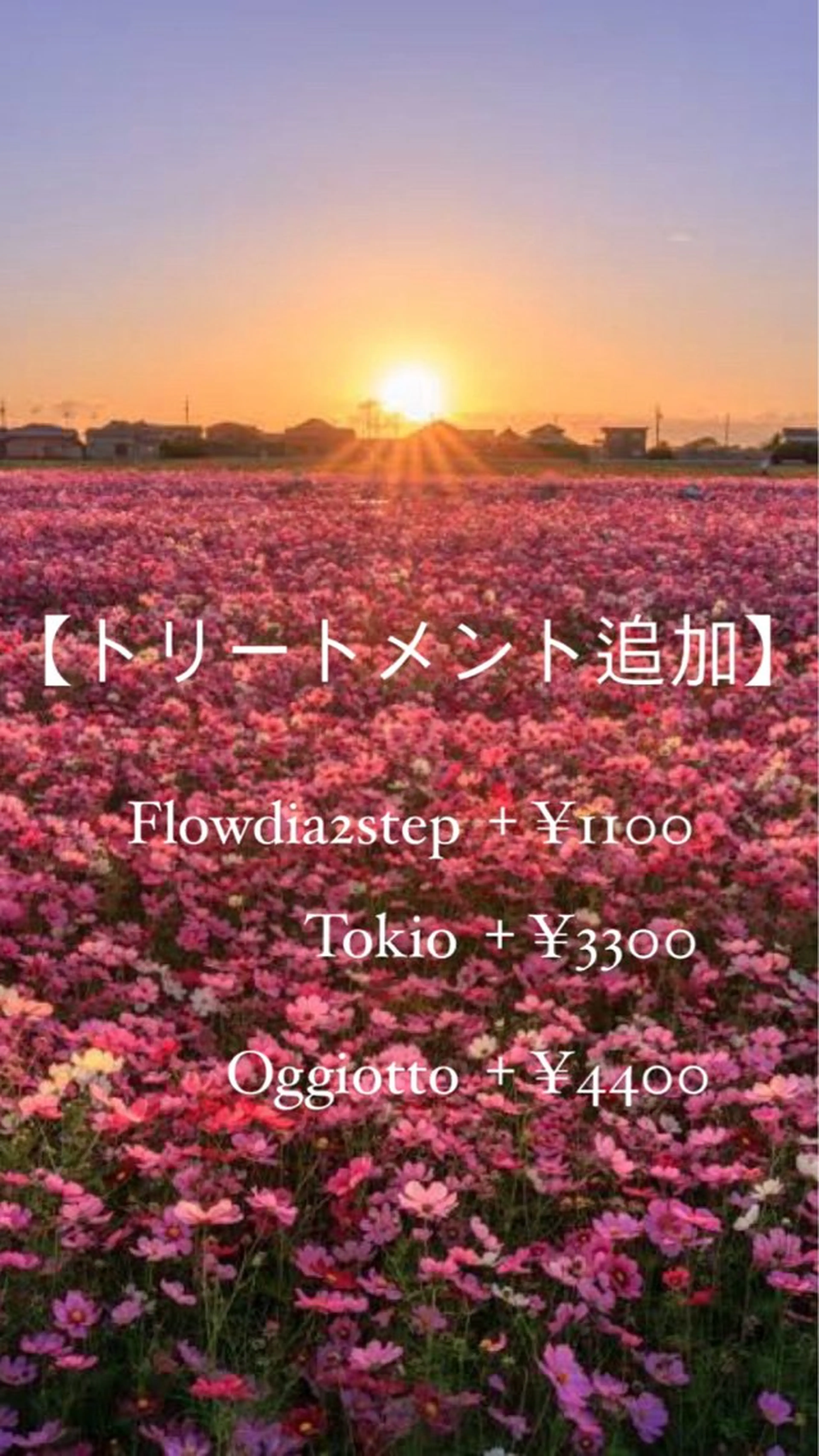 カラー ブリーチ 縮毛矯正 Tink 橋本 青空のヘアスタイル