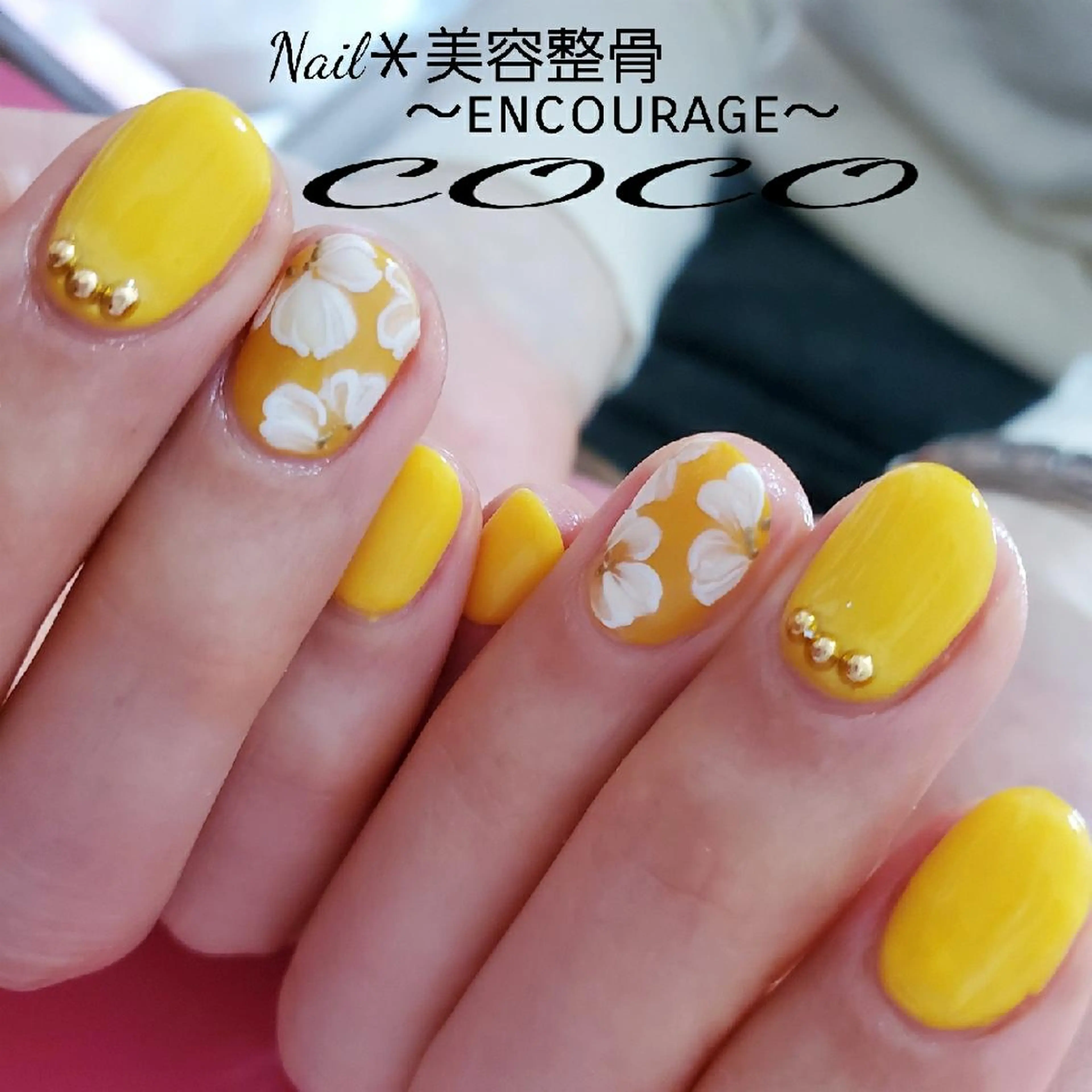 ネイル アートネイル ワンカラーネイル REVIA   （旧:COCO）のネイルデザイン