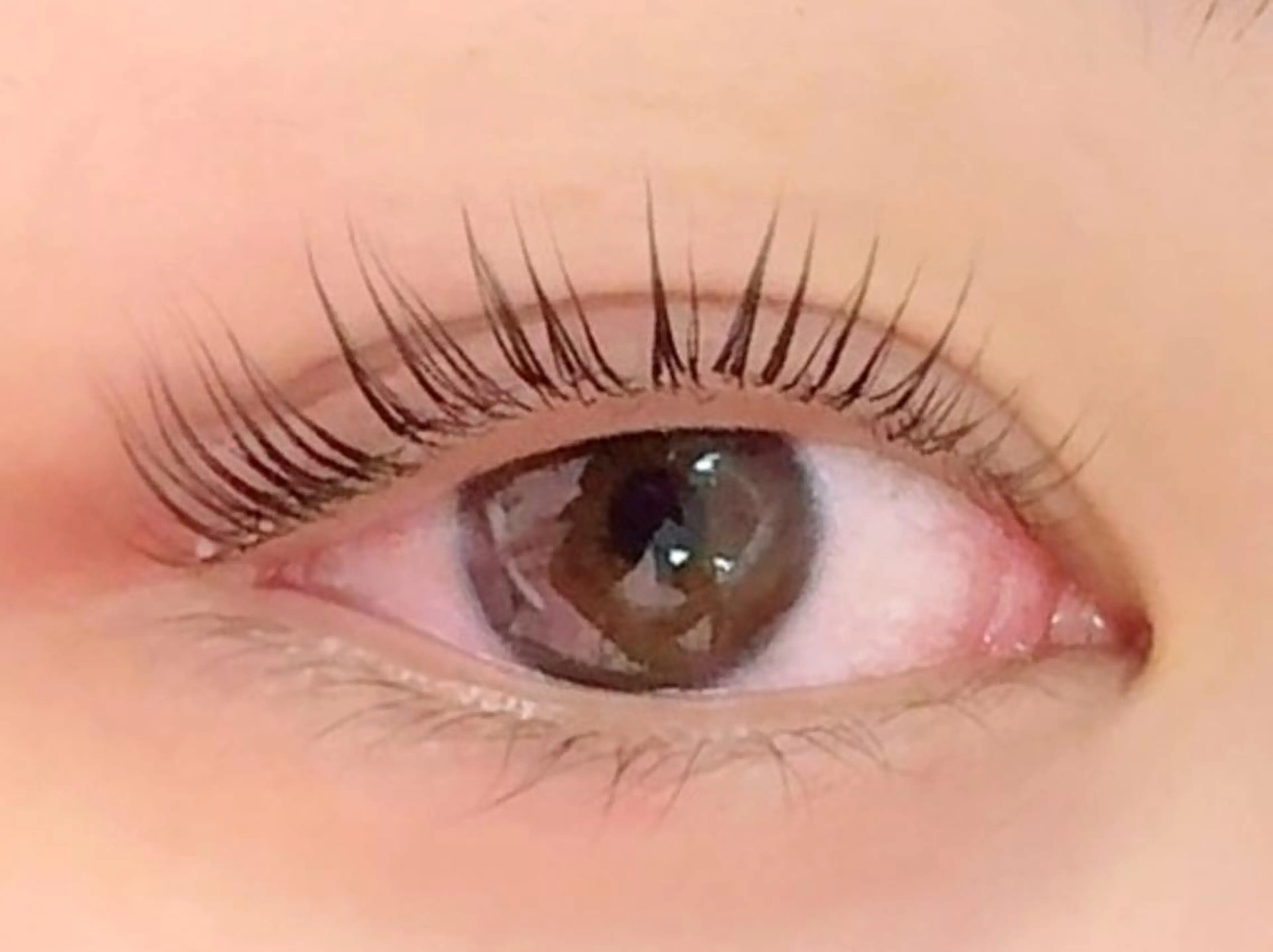 【モニター限定】🎀つやつや✨似合わせ★デザインまつげパーマ上+アイシャンプー、コーティング付き♡の写真