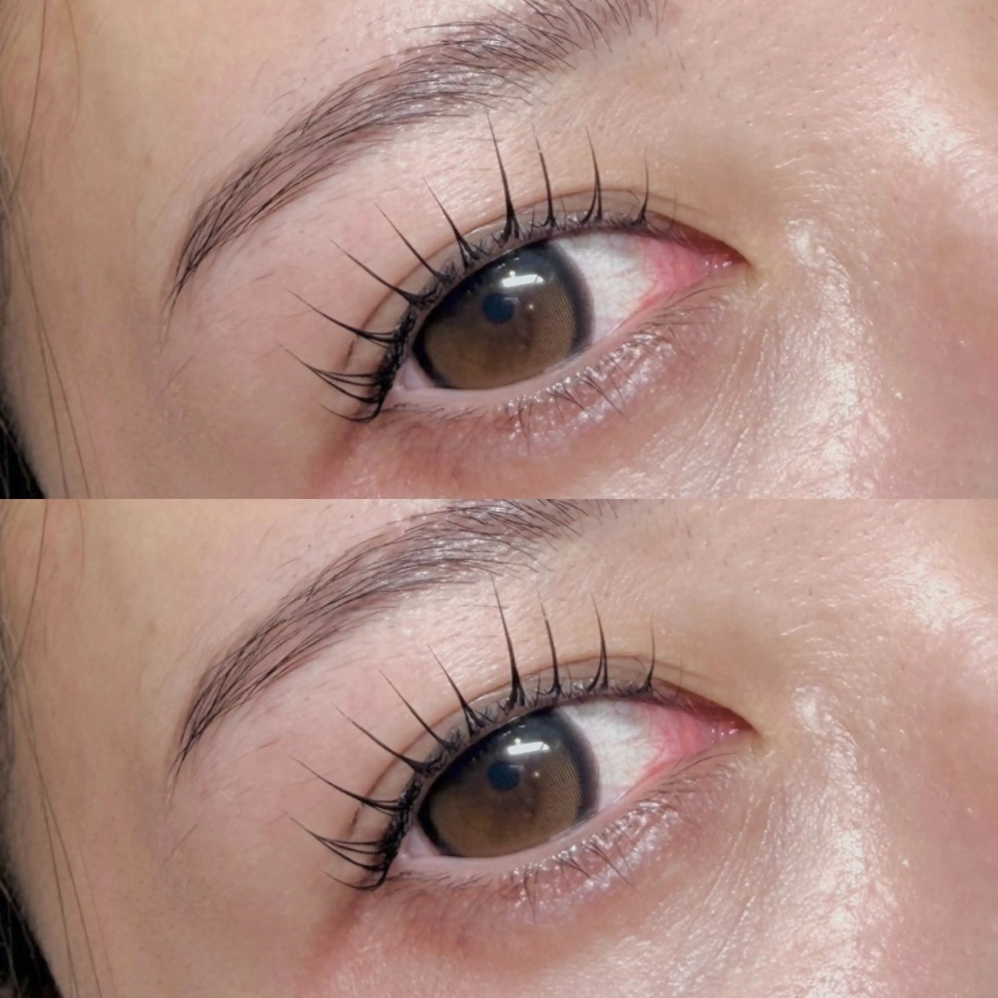 まつ毛パーマ（コーティングお仕上げ付き）➕アイブロウスタイリング（アイブロウメイクお仕上げ付き）👀✨💕の写真