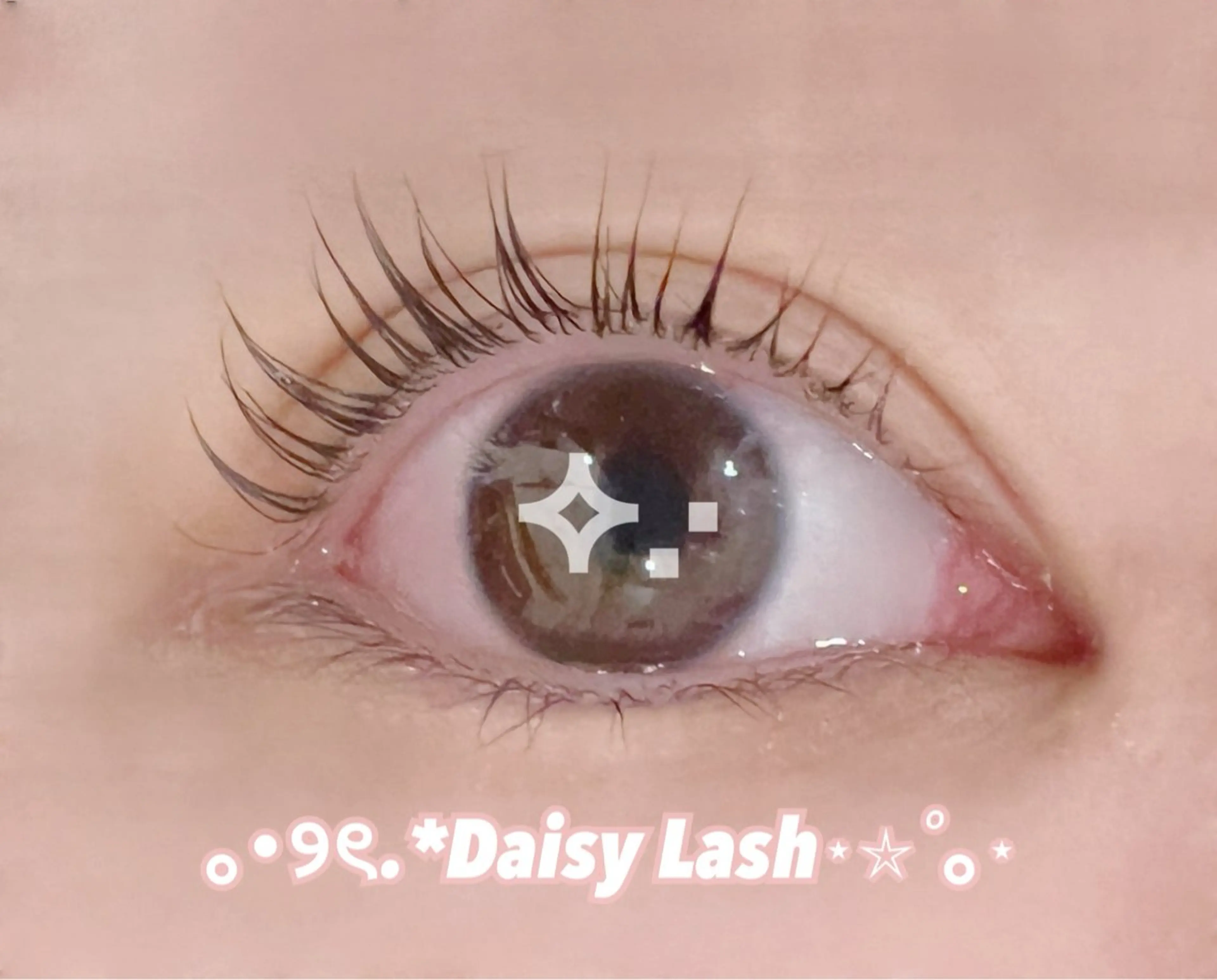 🪄︎︎⟡.꙳オフなし／まつ毛パーマ無料モデル🐚‎🫧の写真