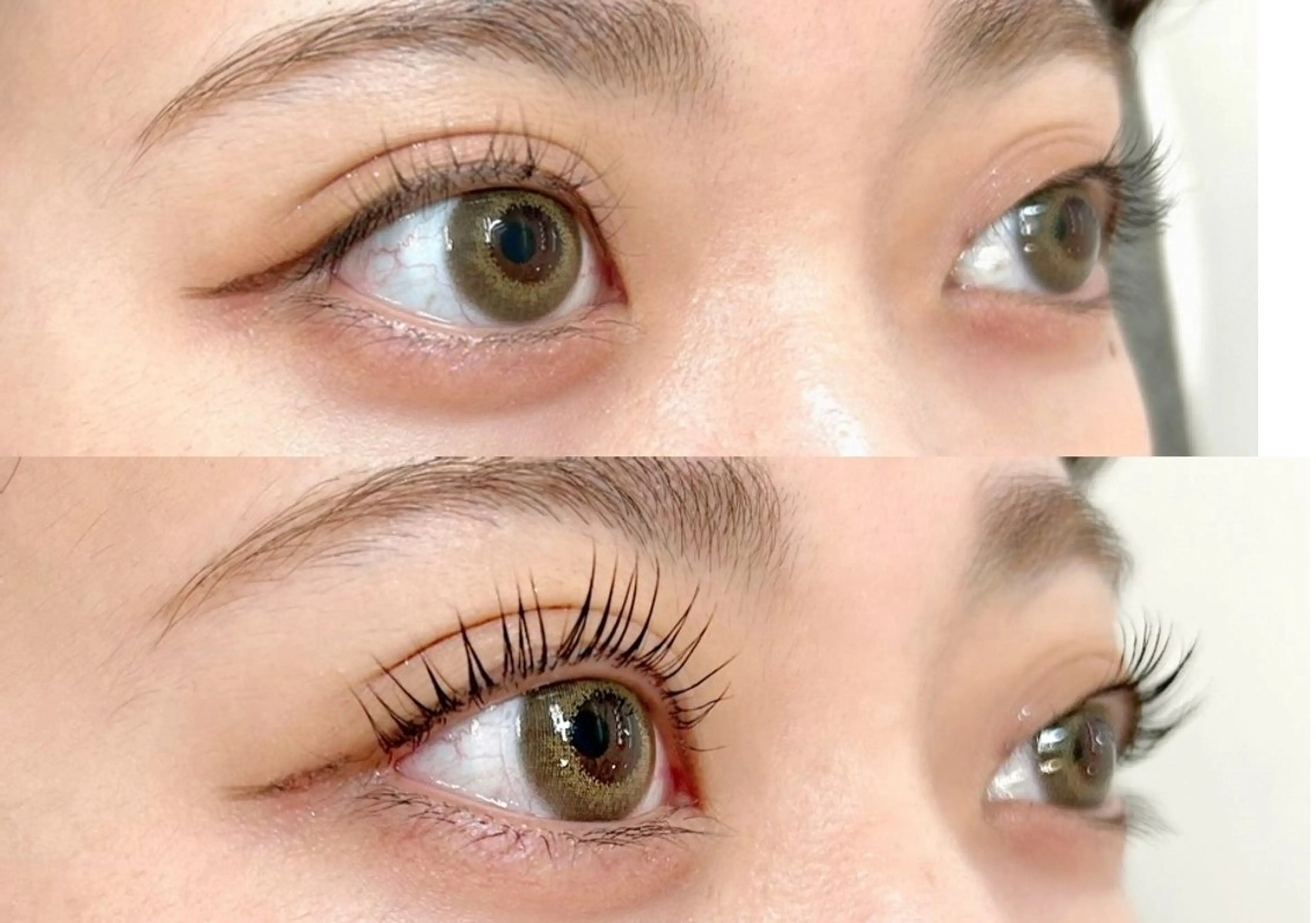 🫧ྀི似合わせまつげパーマ‪上🫧ྀི高濃度3STEPケラチントリートメント付‪🦔♡の写真