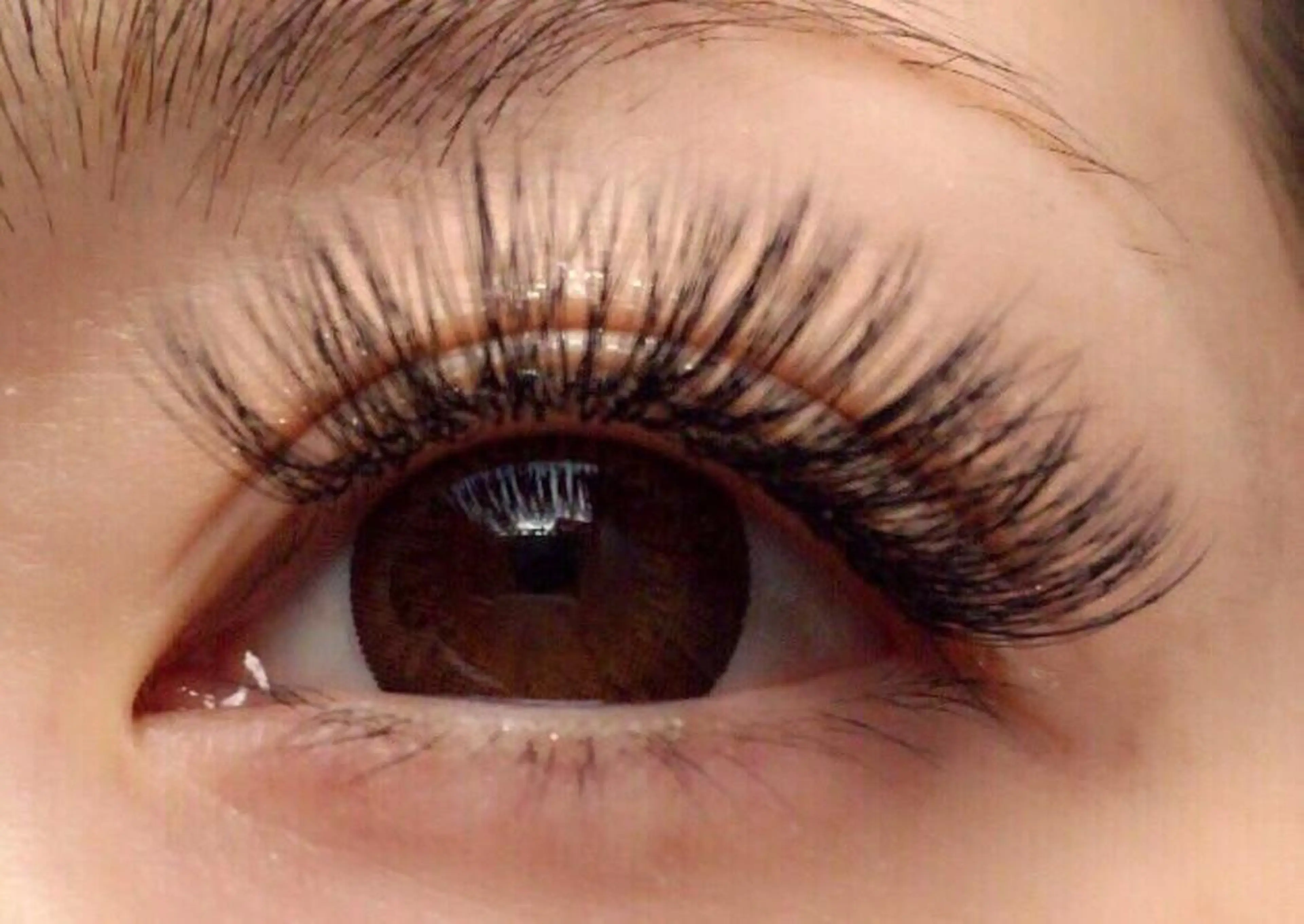 ボリュームラッシュ300本7500円上下エクステ10000円(40本)400本8500円/500本9500円/それ以上可の写真