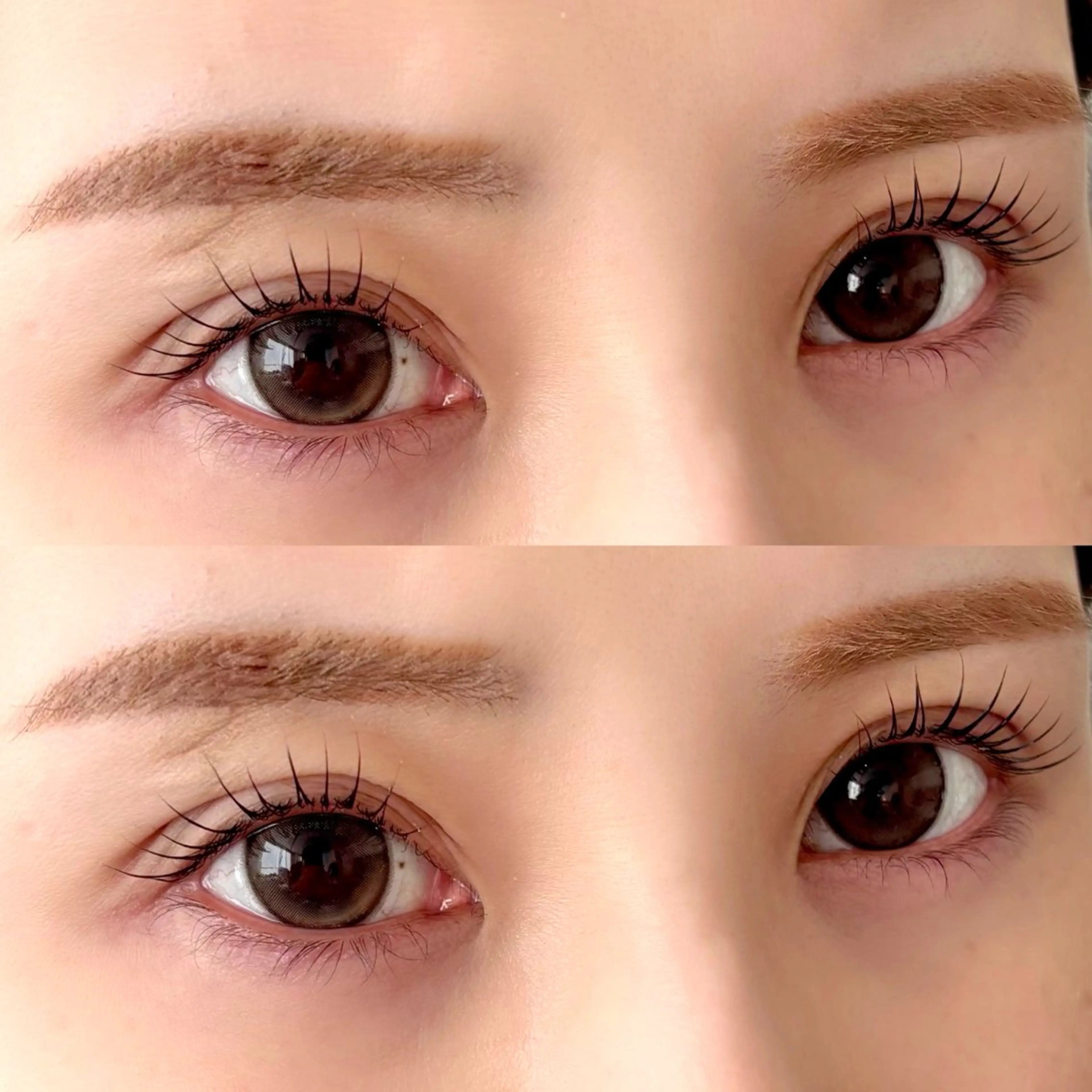 ラッシュリフト（上まつ毛のみ）⚫︎ケラチントリートメント付⚫︎の写真