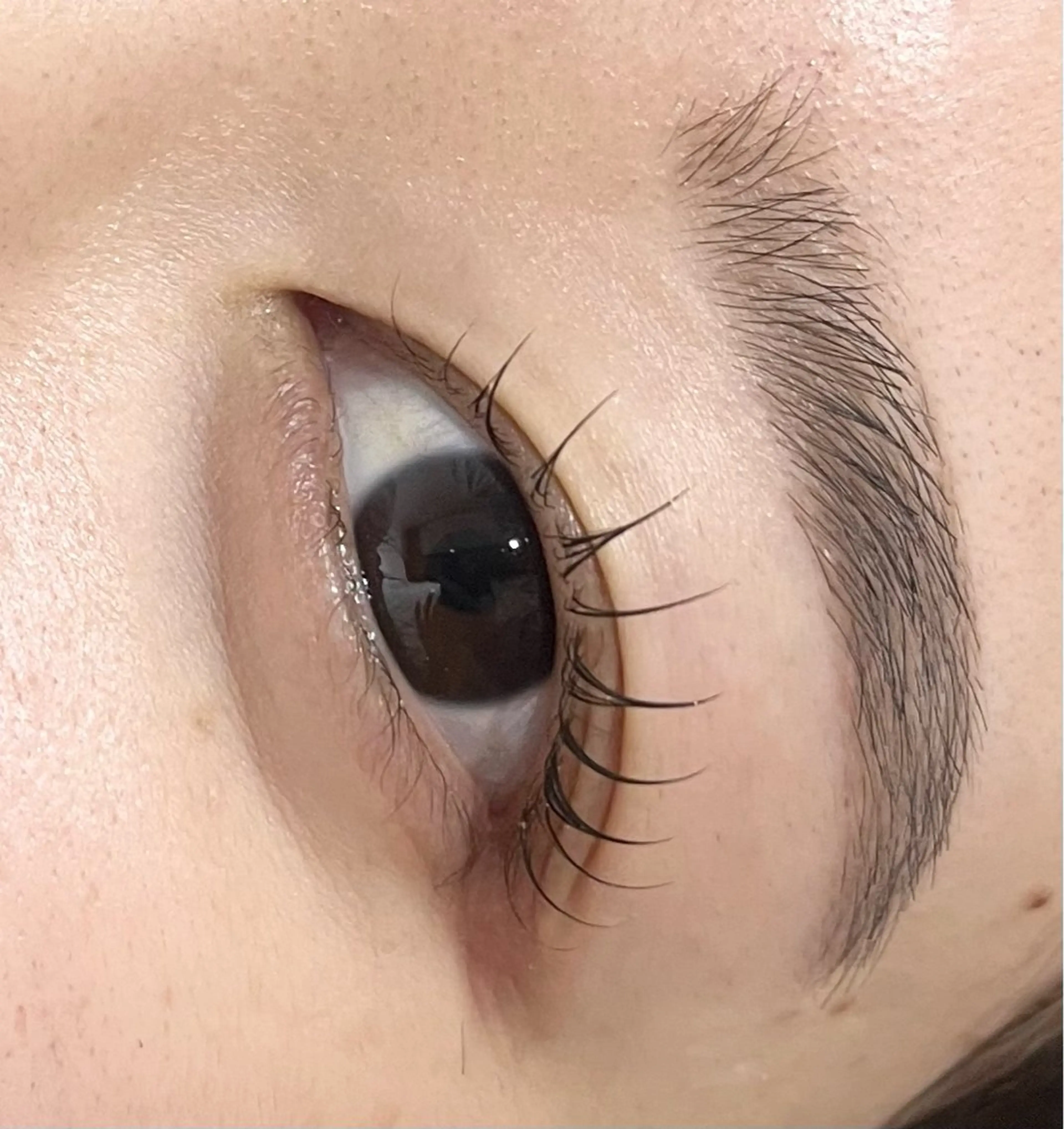 マツエク・マツパ andc 久宝寺のマツエク・マツパデザイン