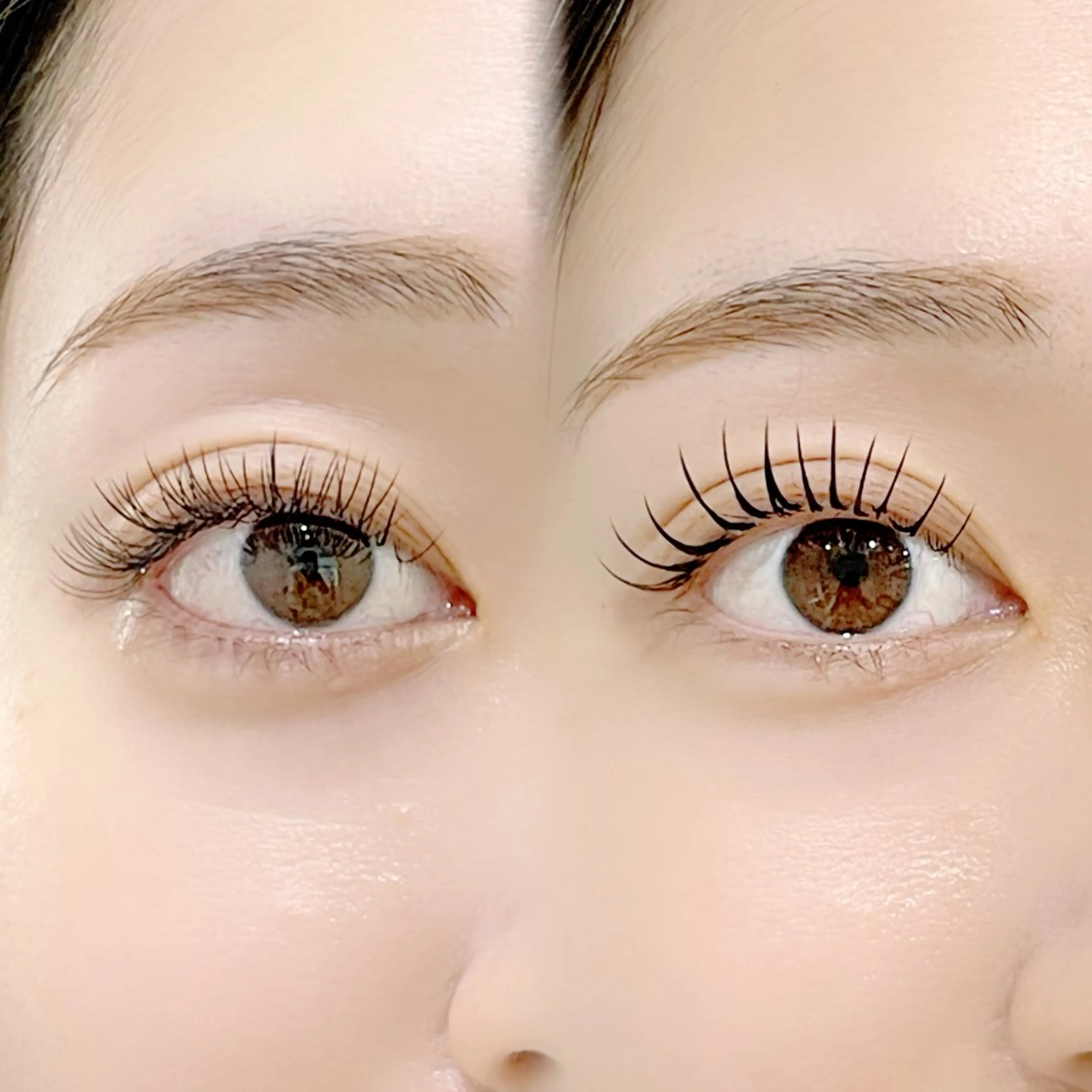 🆕バインドロック80束➕&healthyアンドヘルシー（上まつげパーマ）9600円の写真