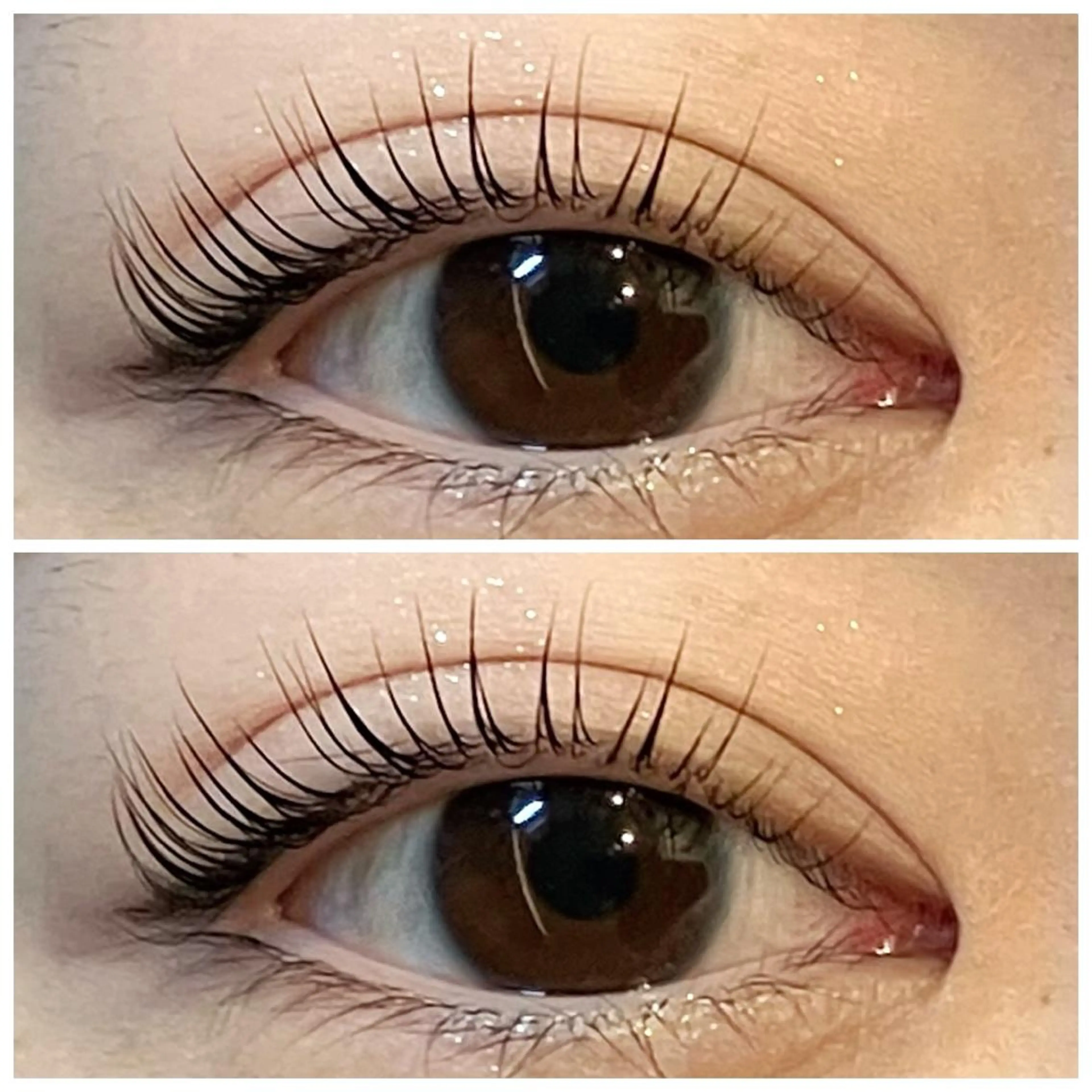 マツエク・マツパ 【ダメージケア特化】 🌸 サクララッシュの眉毛・アイブロウイメージ