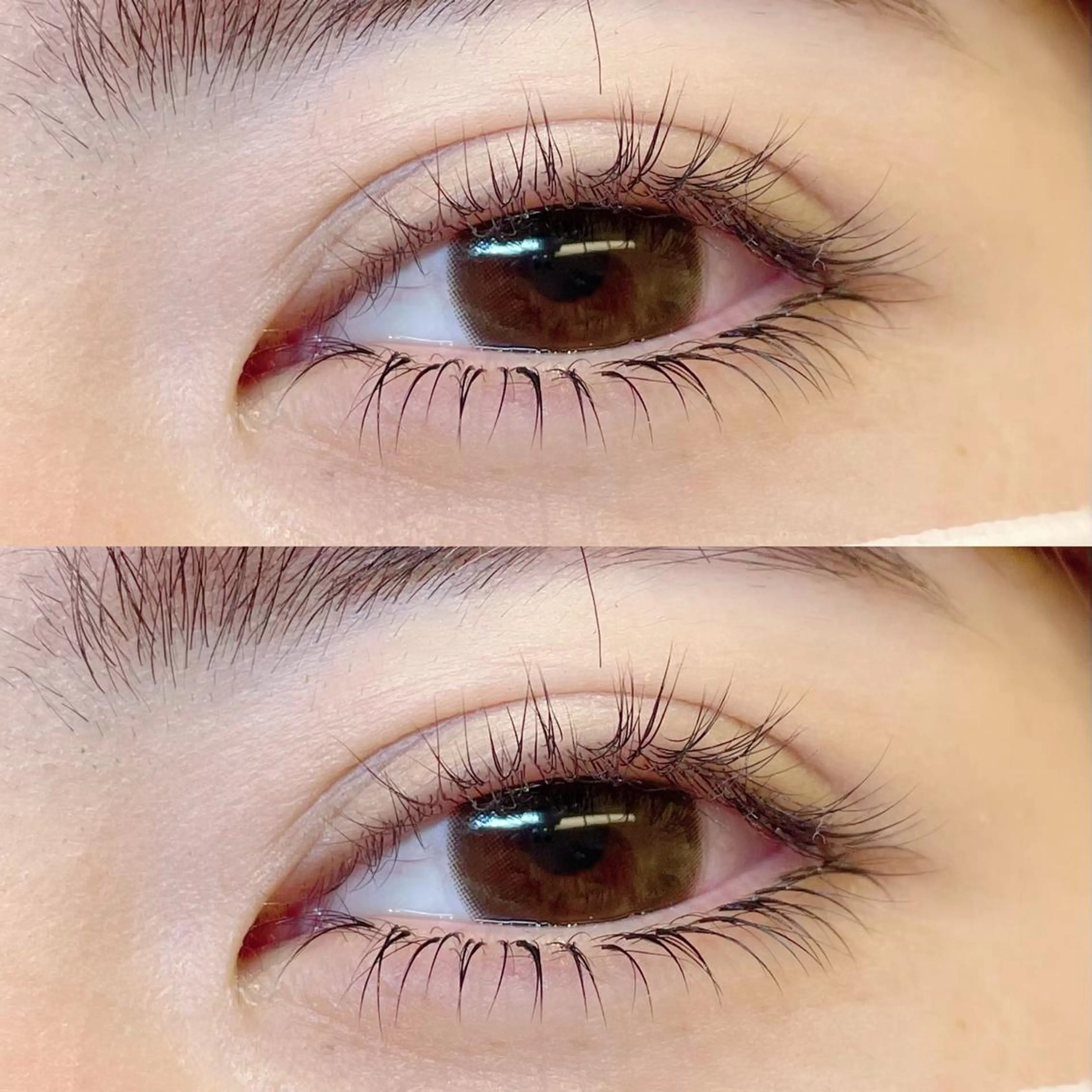 下まつ毛付け放題🕊️[セットでも可能です♡メッセージにてお送りください💬]の写真