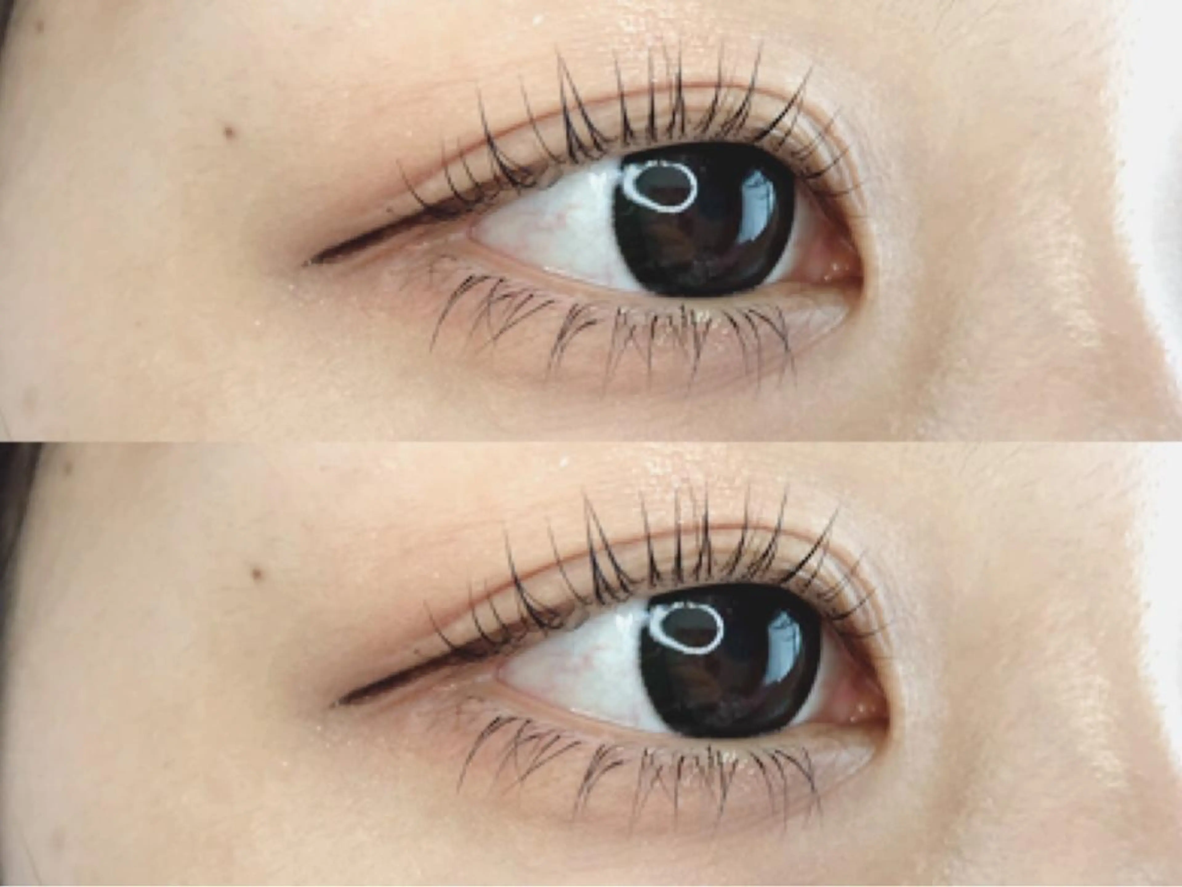 マツエク・マツパ 《eyelash ｉｉｔｅ》森のマツエク・マツパデザイン