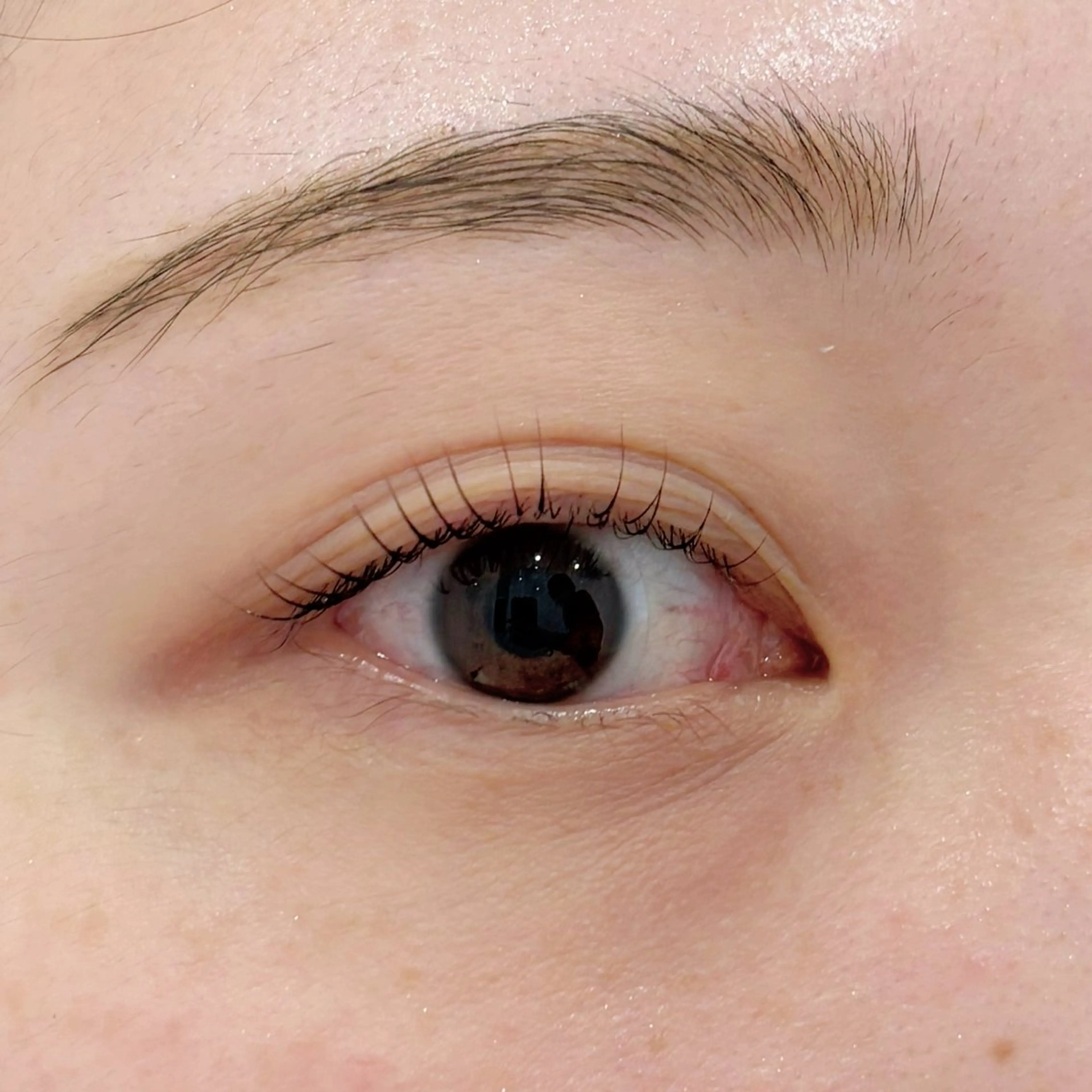 マツエク・マツパ マツパ 🌙Lily 船橋 鈴木のマツエク・マツパデザイン