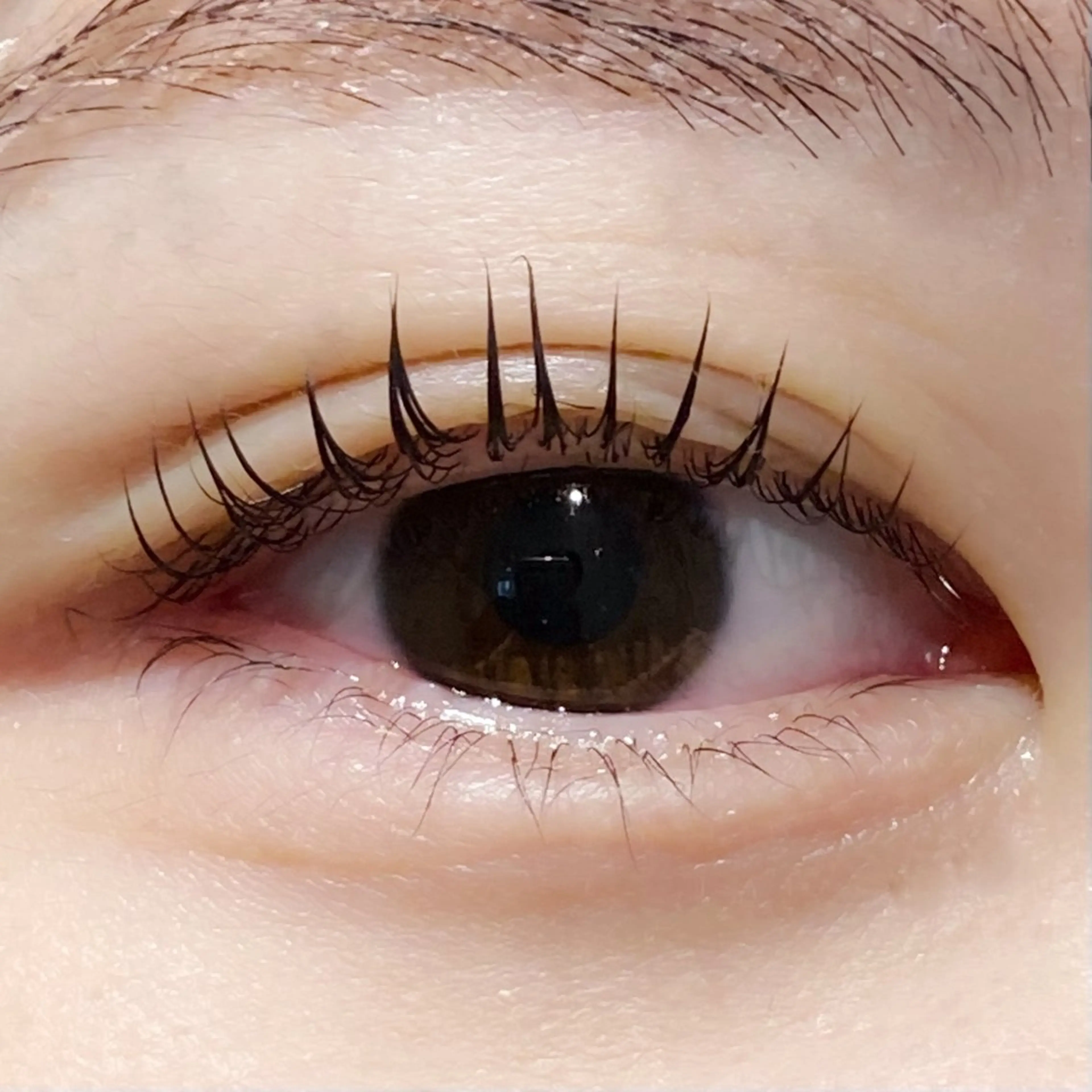 マツエク・マツパ diar blue YUIのマツエク・マツパデザイン