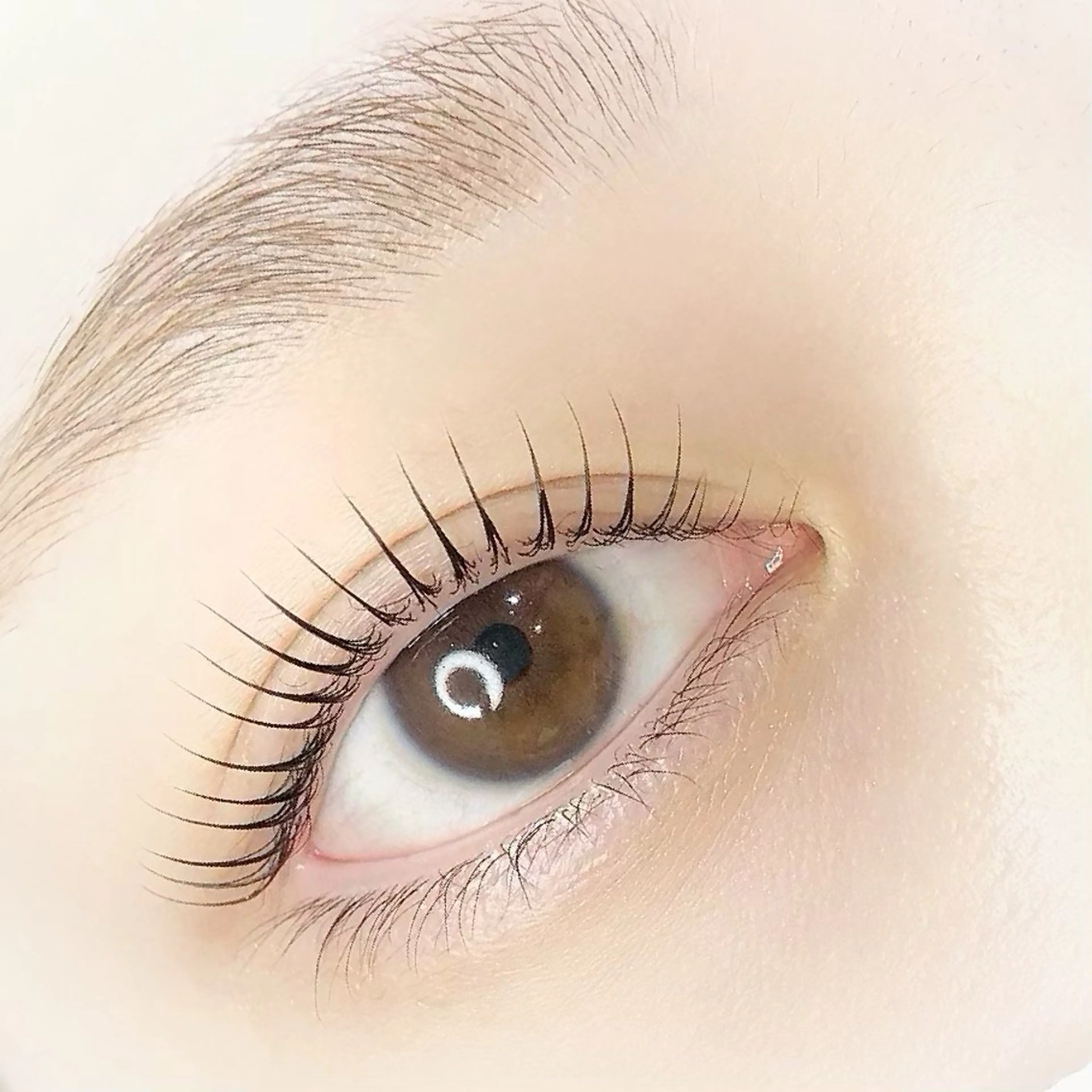 平日限定🌿人気‼️まつ毛パーマorパリジェンヌラッシュリフト✨¥7700→¥5200の写真