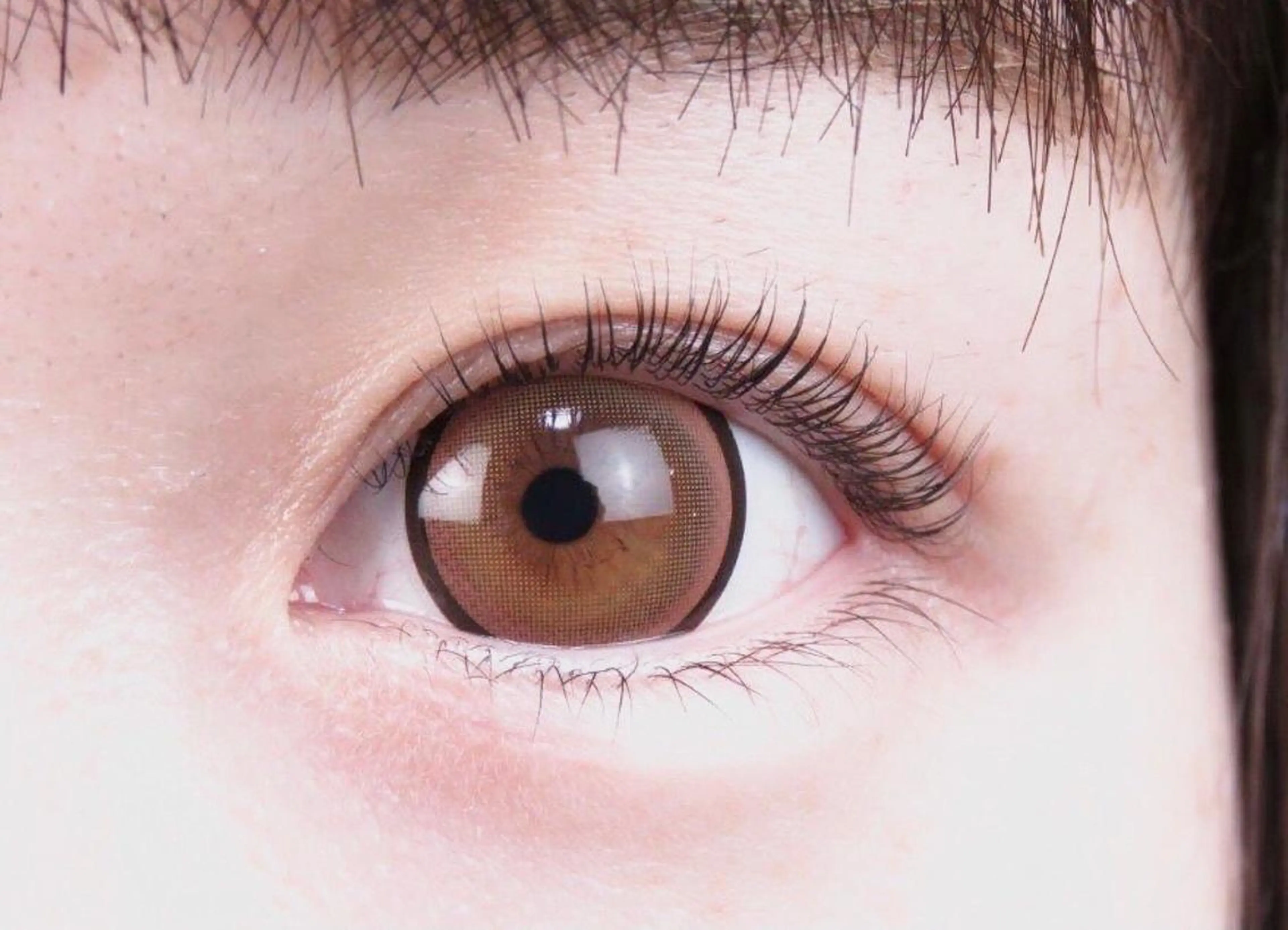 【1日3名様限定☆】🌰まつ毛パーマ🌰4400円🌰の写真